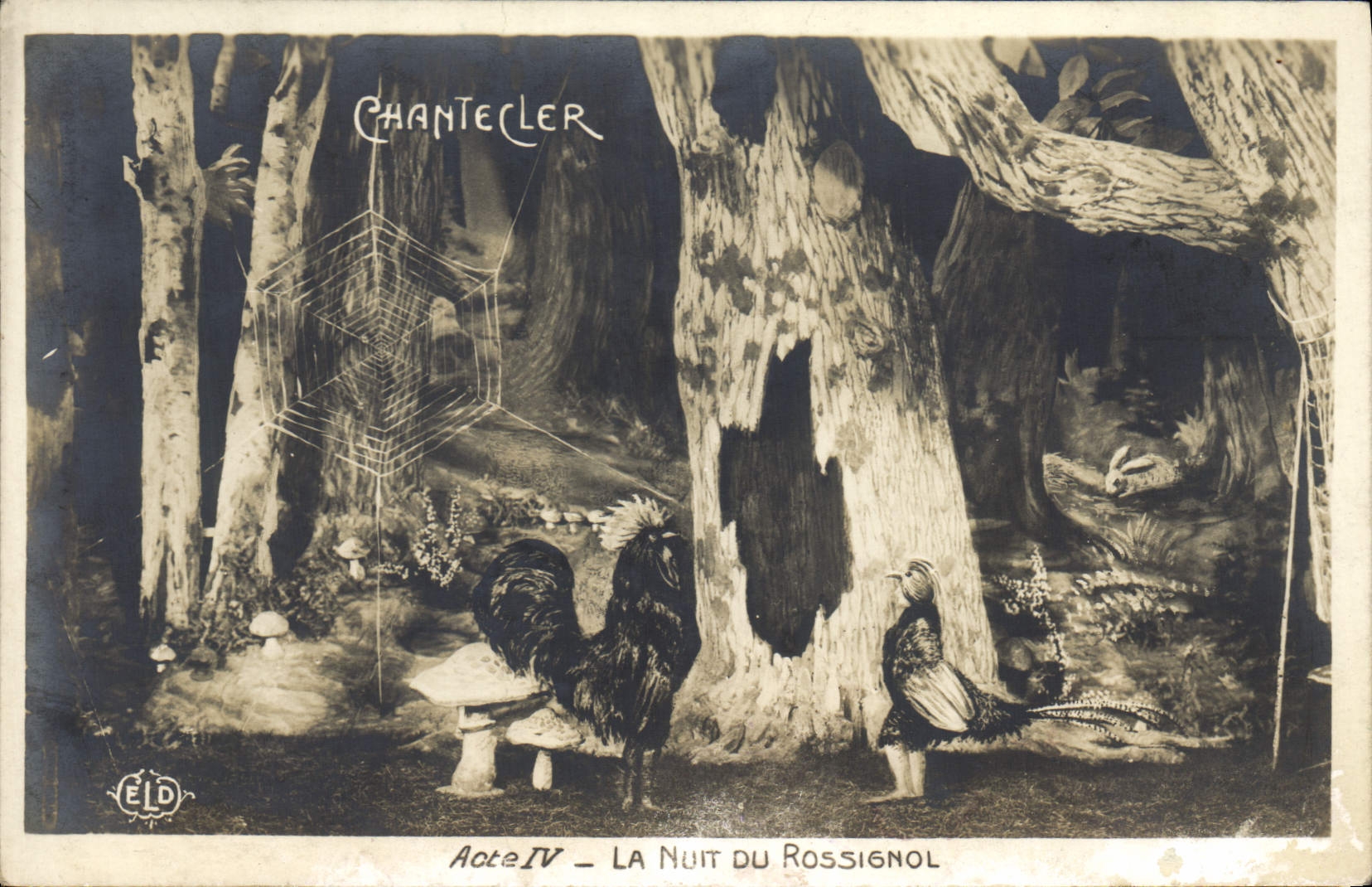 CPA Edmond Rostand Chantecler La nuit au Rossignol Champignon