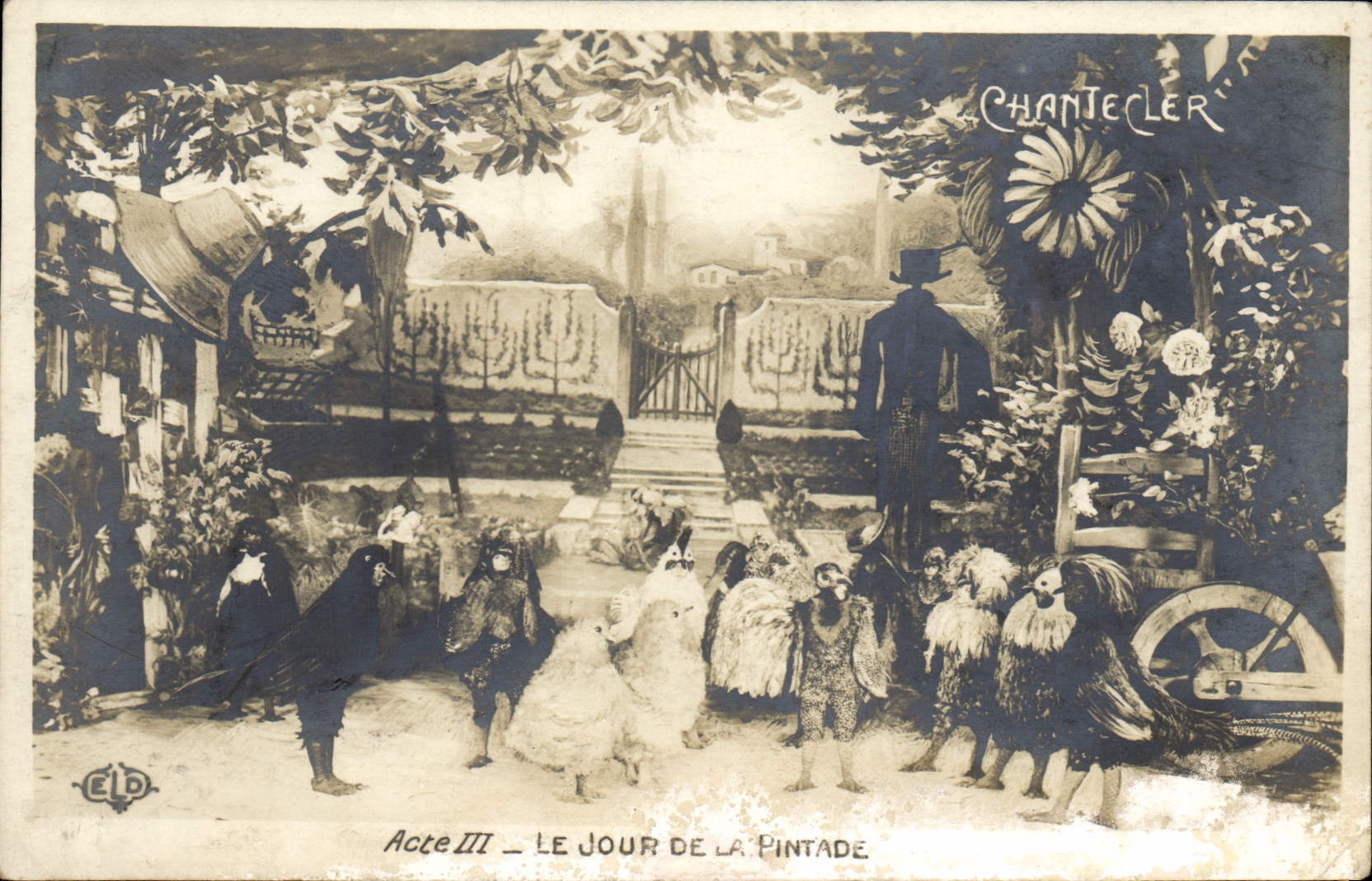 CPA Edmond Rostand Chantecler Le jour de la pintade