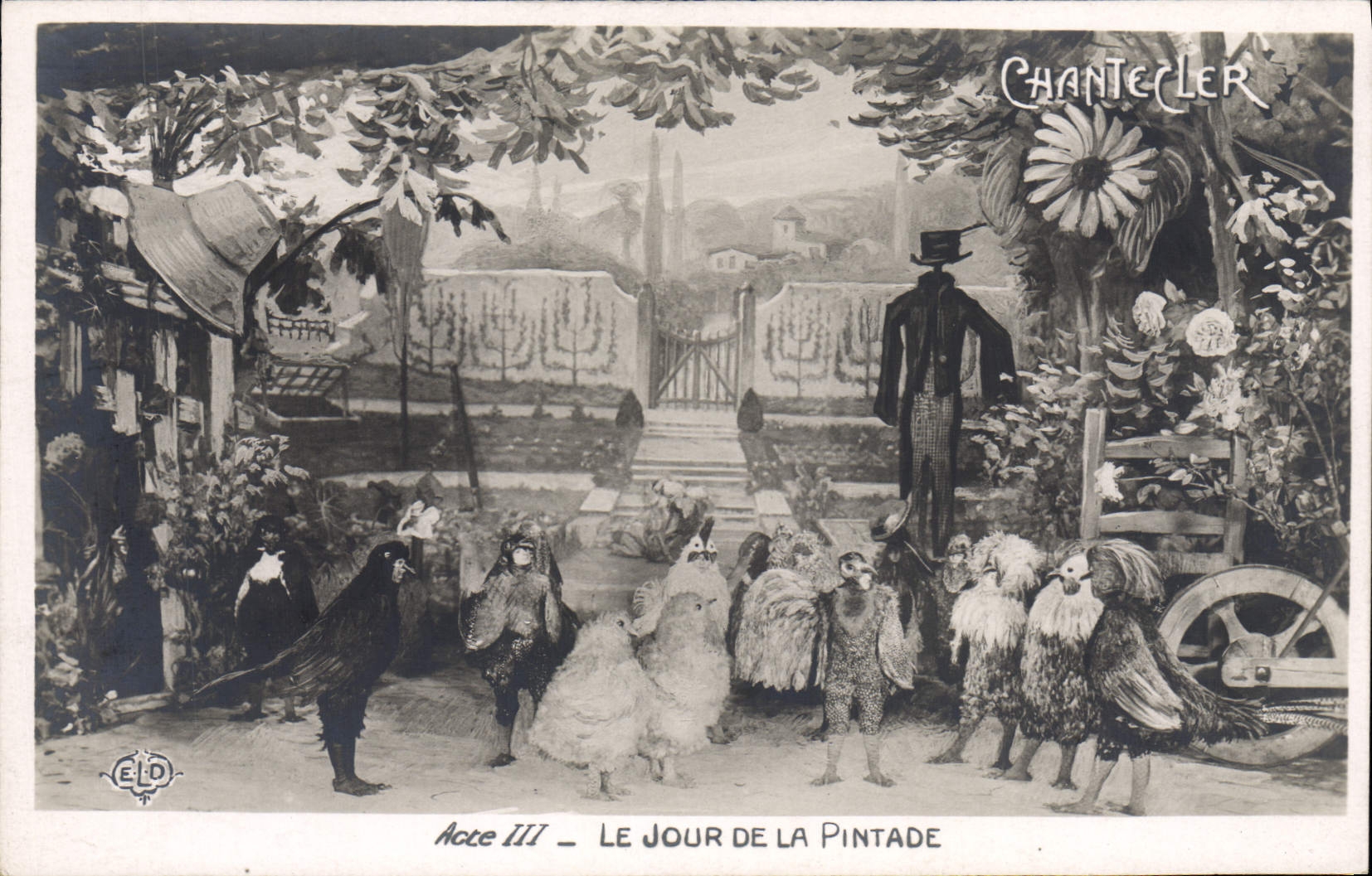 CPA Edmond Rostand Chantecler Le jour de la pintade