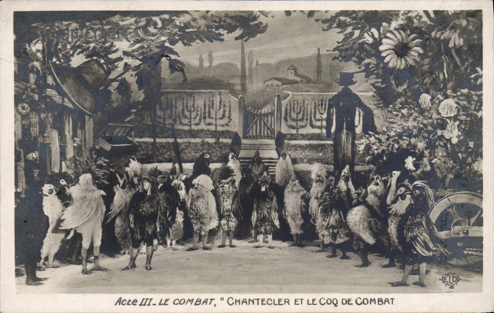 CPA Edmond Rostand Chantecler et le coq de combat