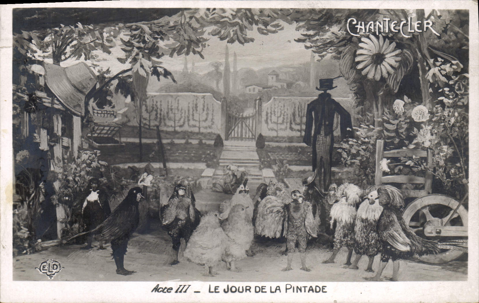CPA Edmond Rostand Chantecler Le jour de la pintade