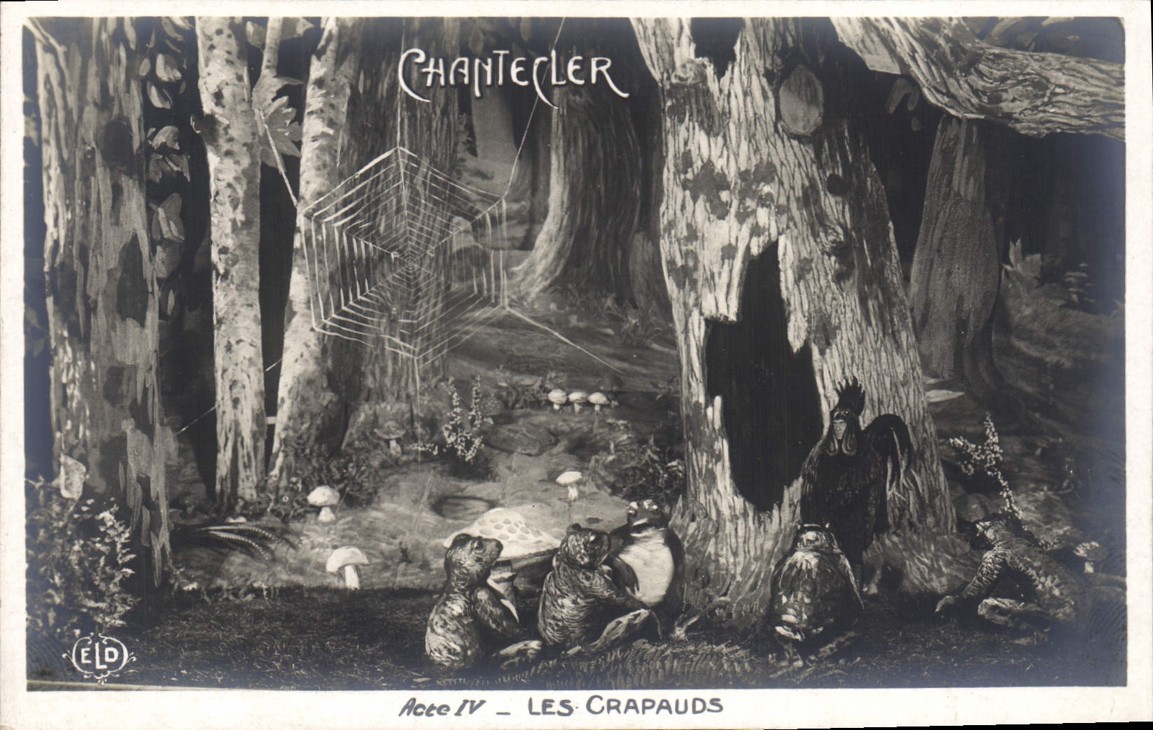CPA Edmond Rostand Chantecler Les crapauds Grenouille