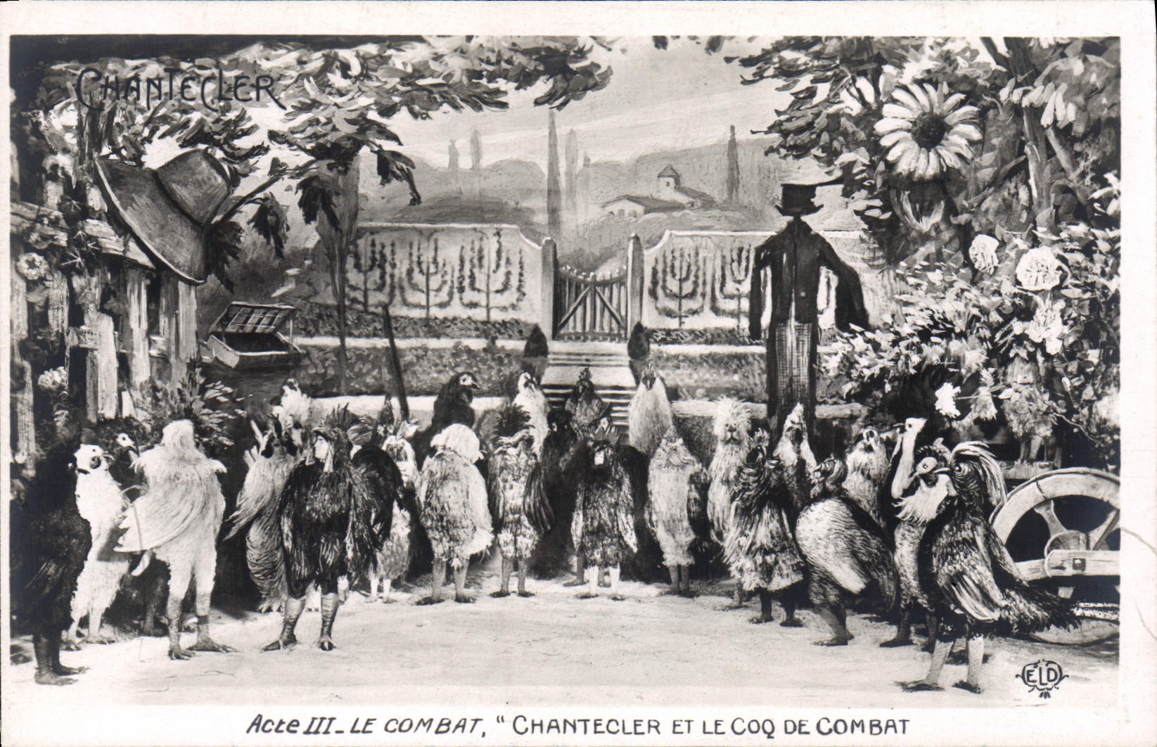 CPA Edmond Rostand Chantecler et le coq de combat