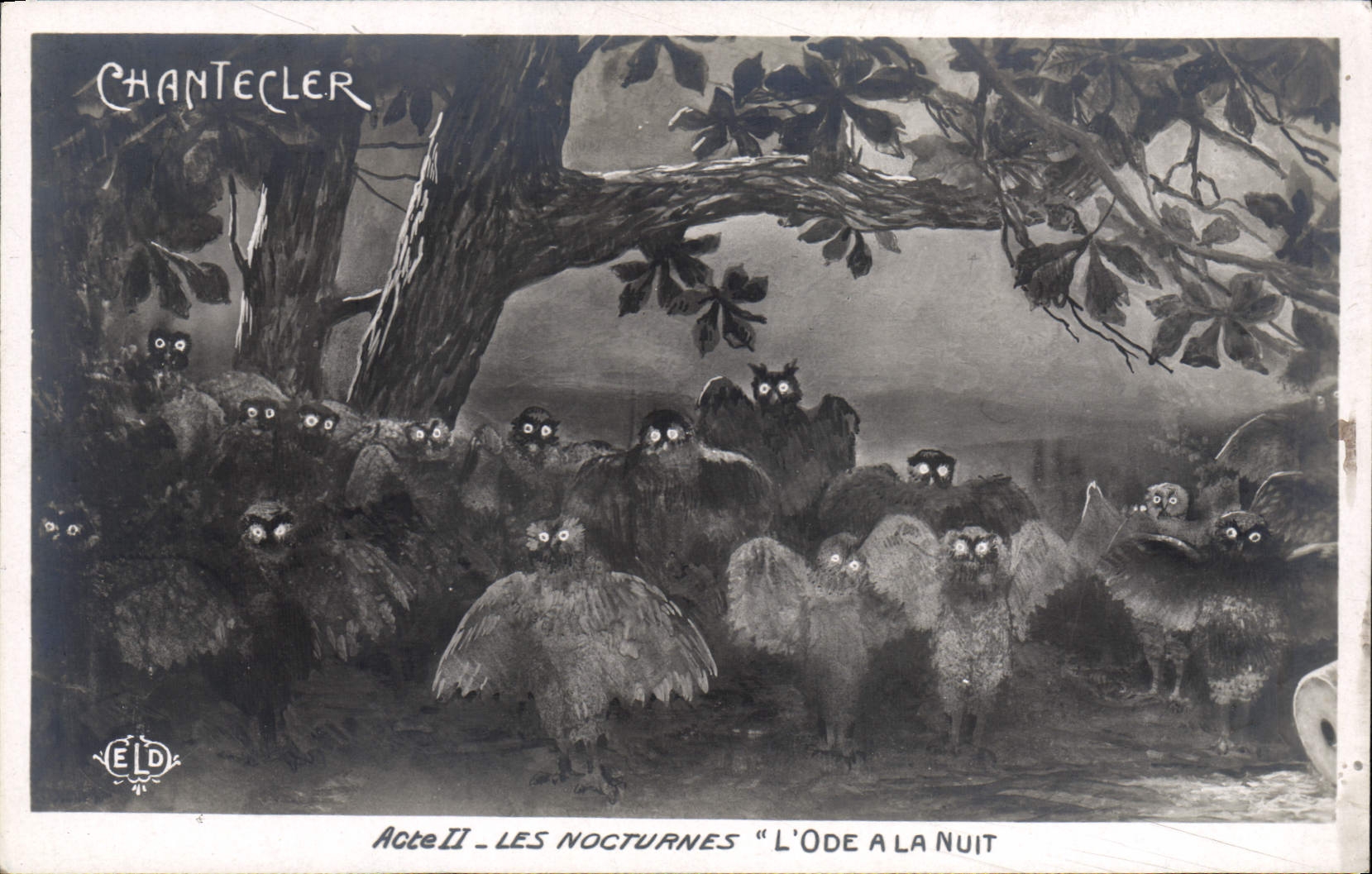 VINTAGE POSTCARD Edmond Rostand Chantecler night the ode at the night Owl Owl