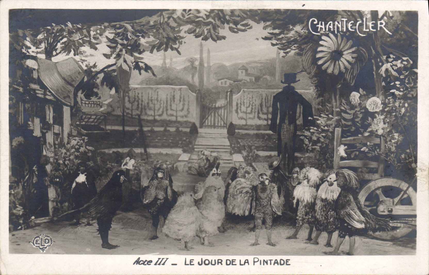 CPA Edmond Rostand Chantecler Le jour de la pintade