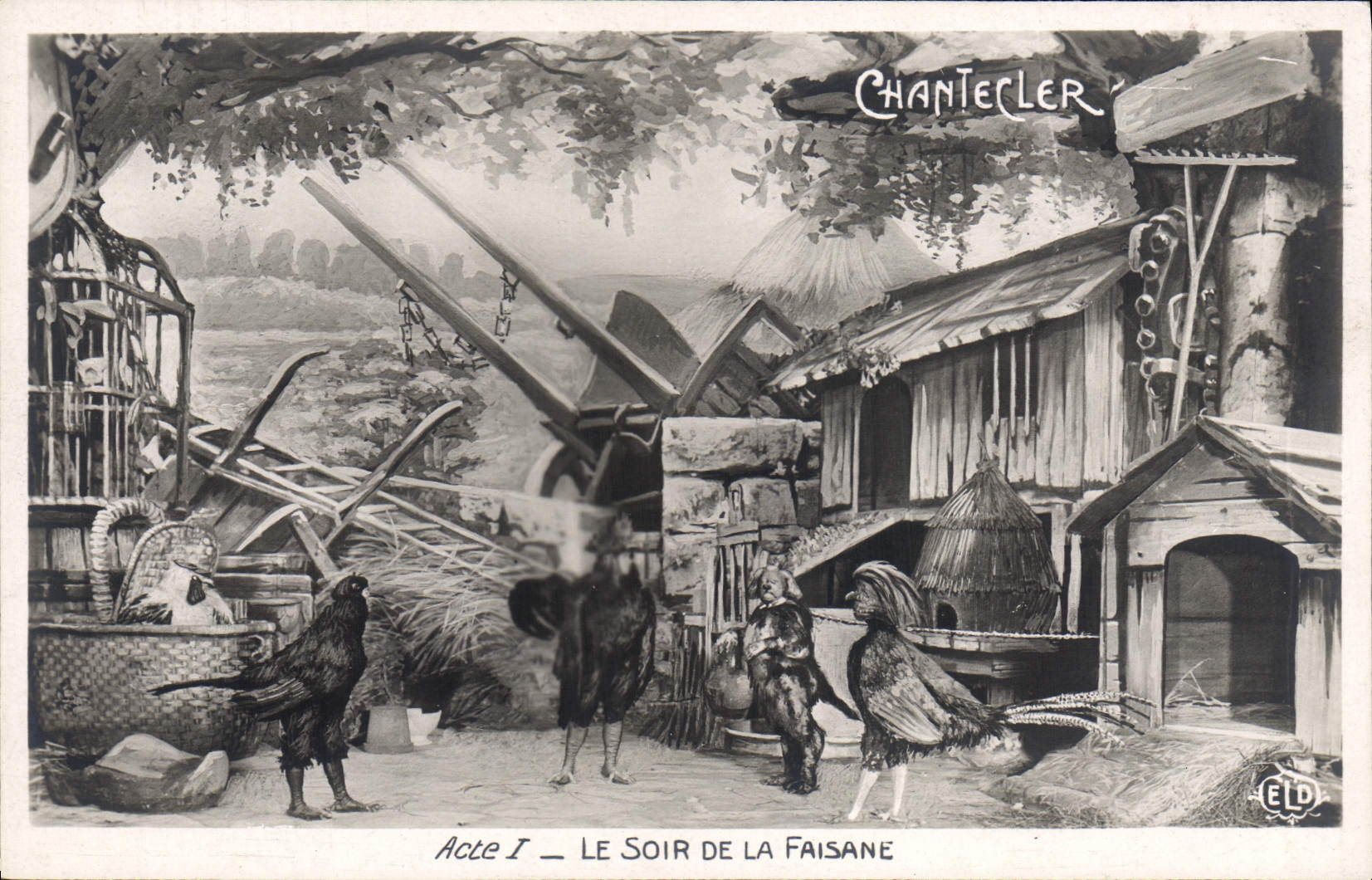 CPA Edmond Rostand Chantecler Le soir de la faisane