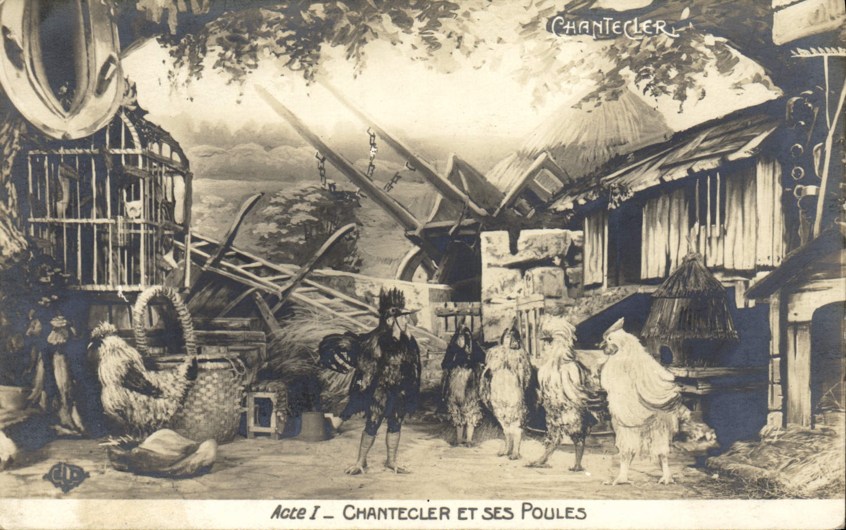 VINTAGE POSTCARD Edmond Rostand Chantecler and his hens