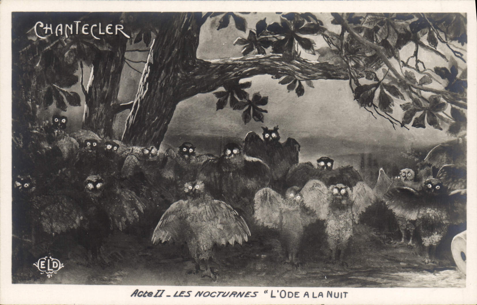 CPA Edmond Rostand Chantecler Les nocturnes L'ode a la nuit Hubou Chouette