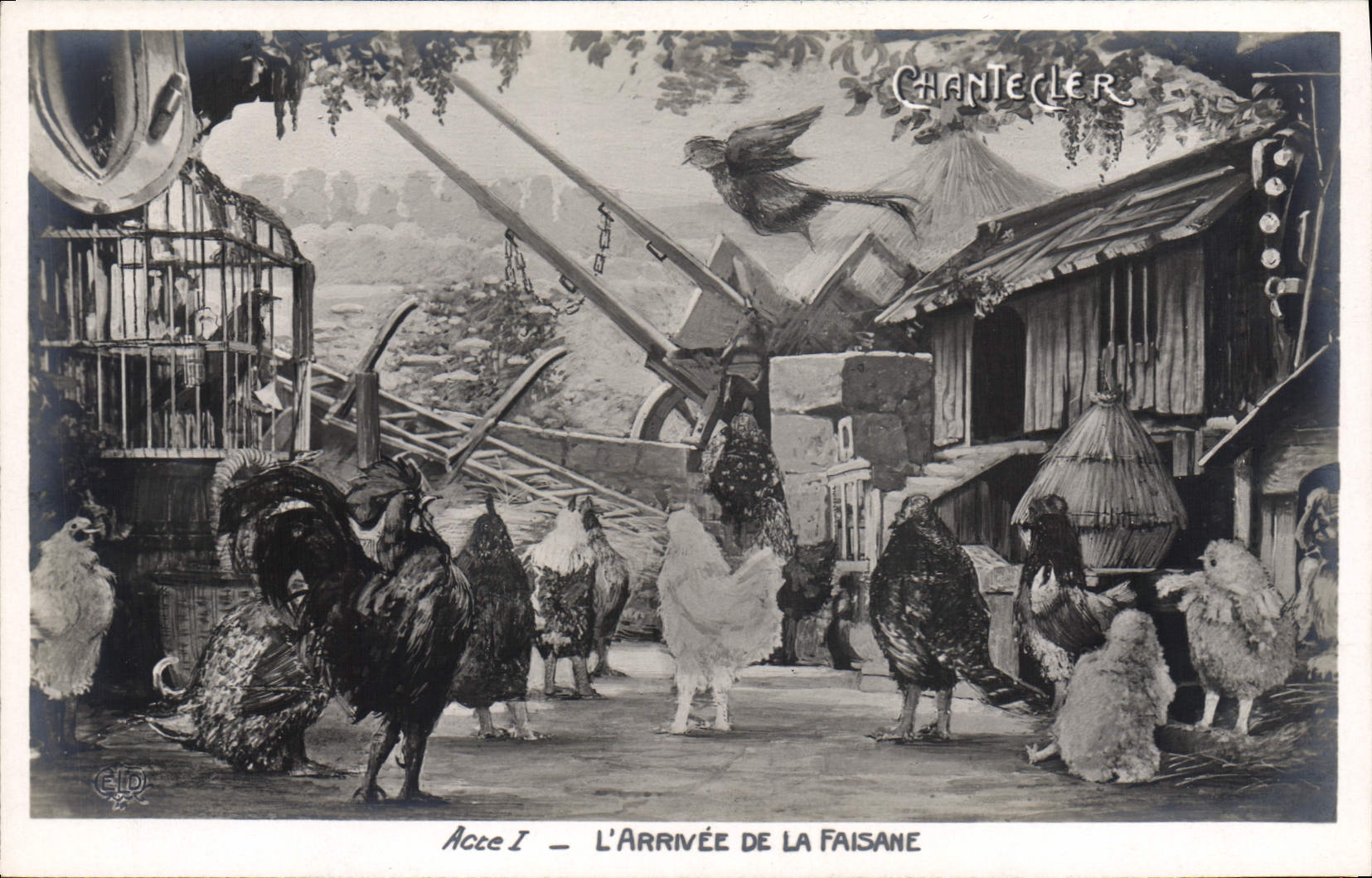 CPA Edmond Rostand Chantecler L'arrivee de la faisane