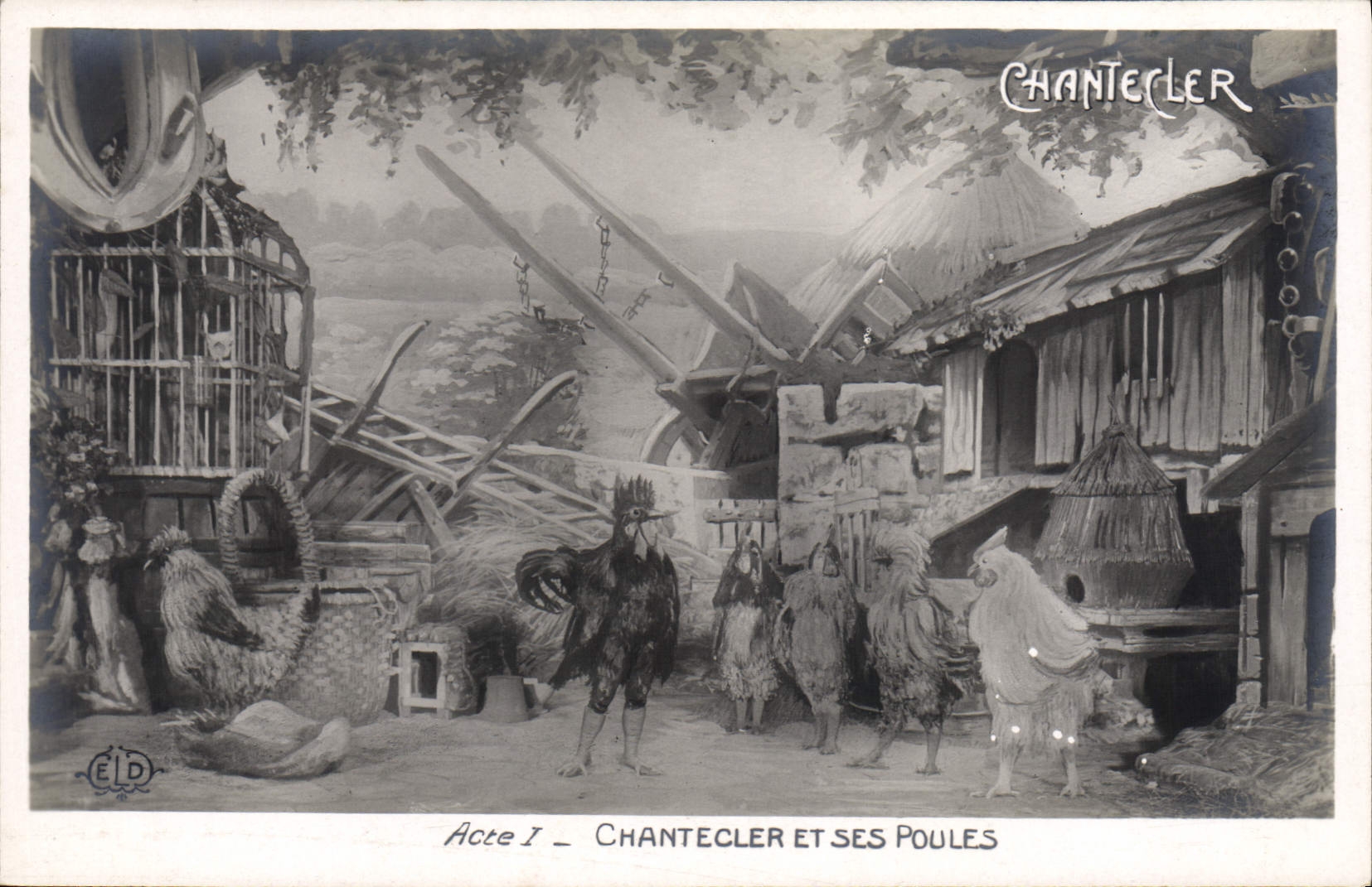 CPA Edmond Rostand Chantecler et ses poules