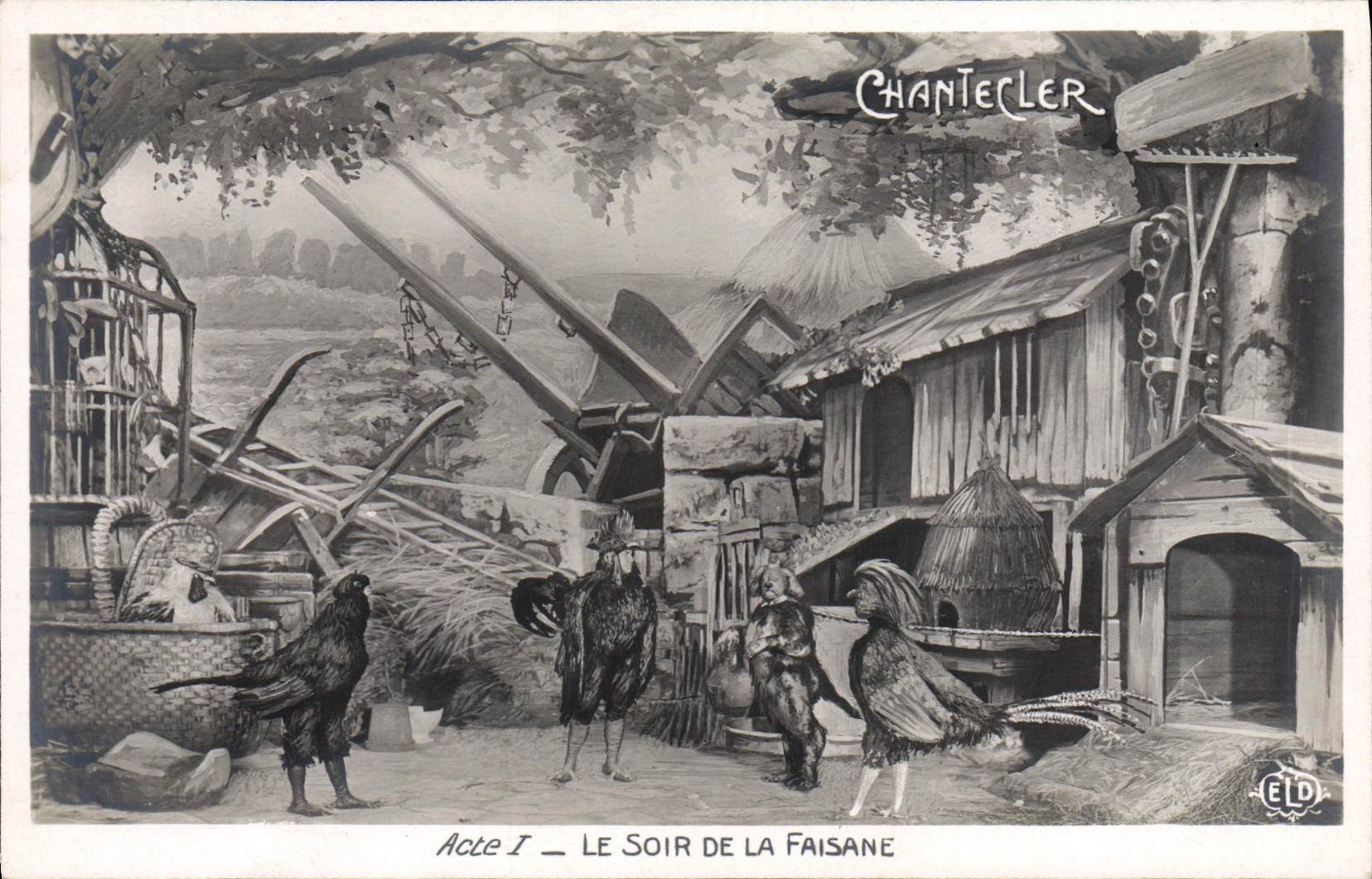 CPA Edmond Rostand Chantecler Le soir de la faisane