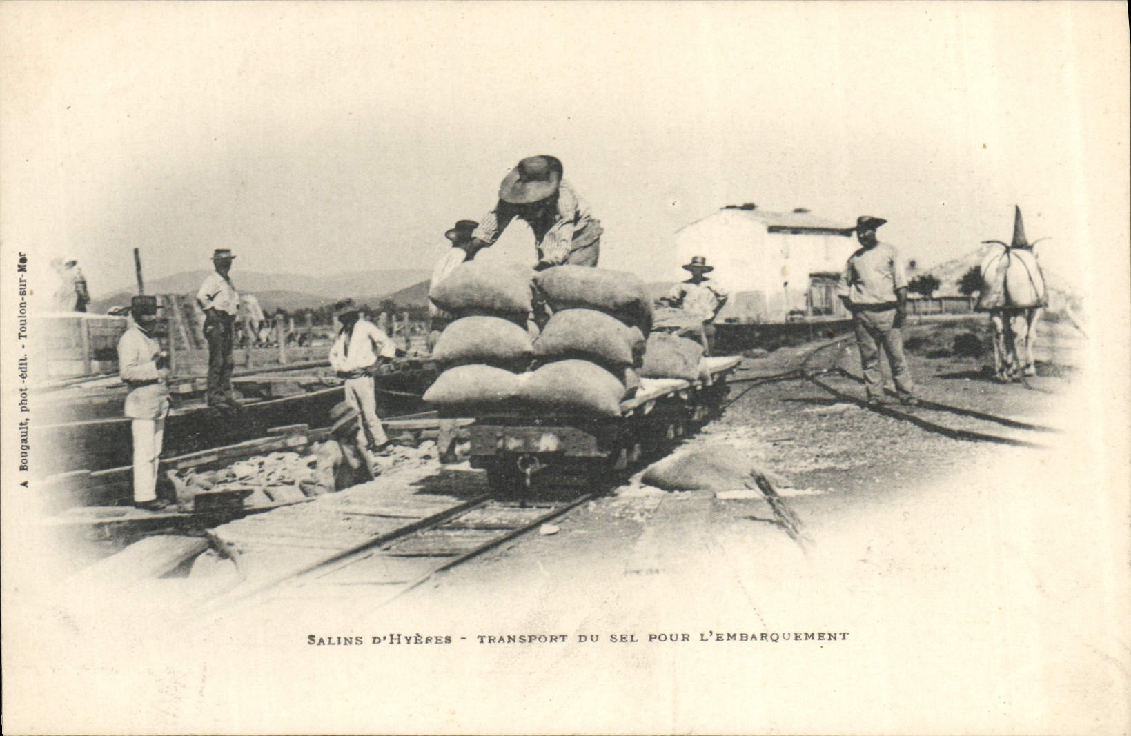 Transporte salino salino de D Hyeres de los pantanos del folklore de la POSTAL de la VENDIMIA de la sal para el cargamento