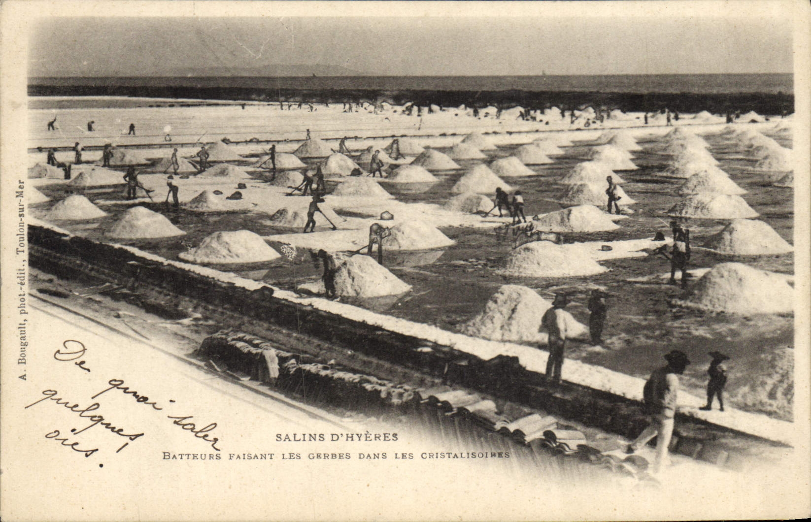 VINTAGE POSTCARD Folklore Saline Saline Marshes of Hyeres Beaters making the sheaves in Cristalisoires