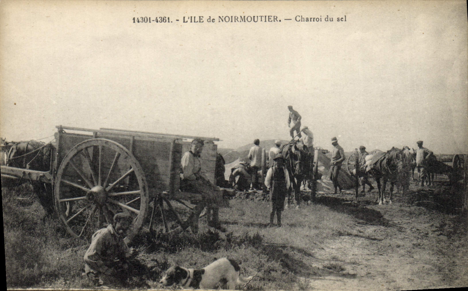 VINTAGE POSTCARD Folklore Salt-water Marshes the Island of Noirmoutier Cartage of salt