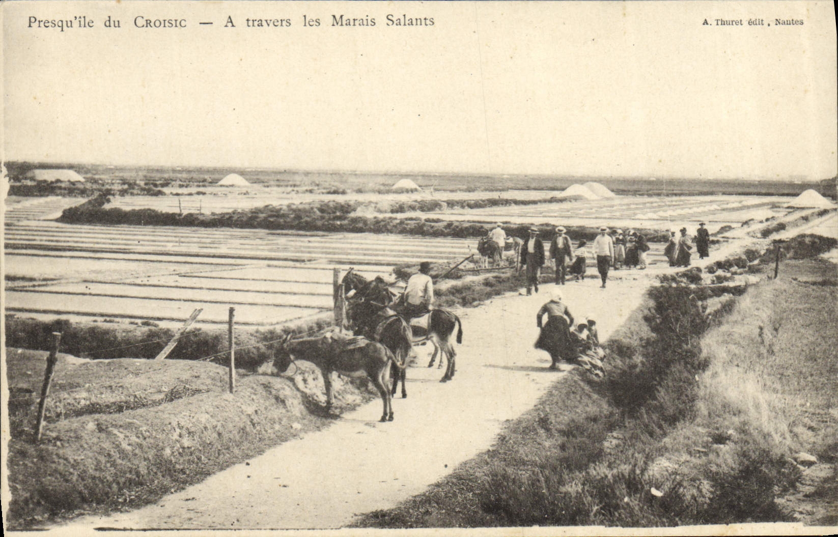 CPA Folklore Marais Salants Presqu'ile de Croisic A travers les marais salants Mule Ane
