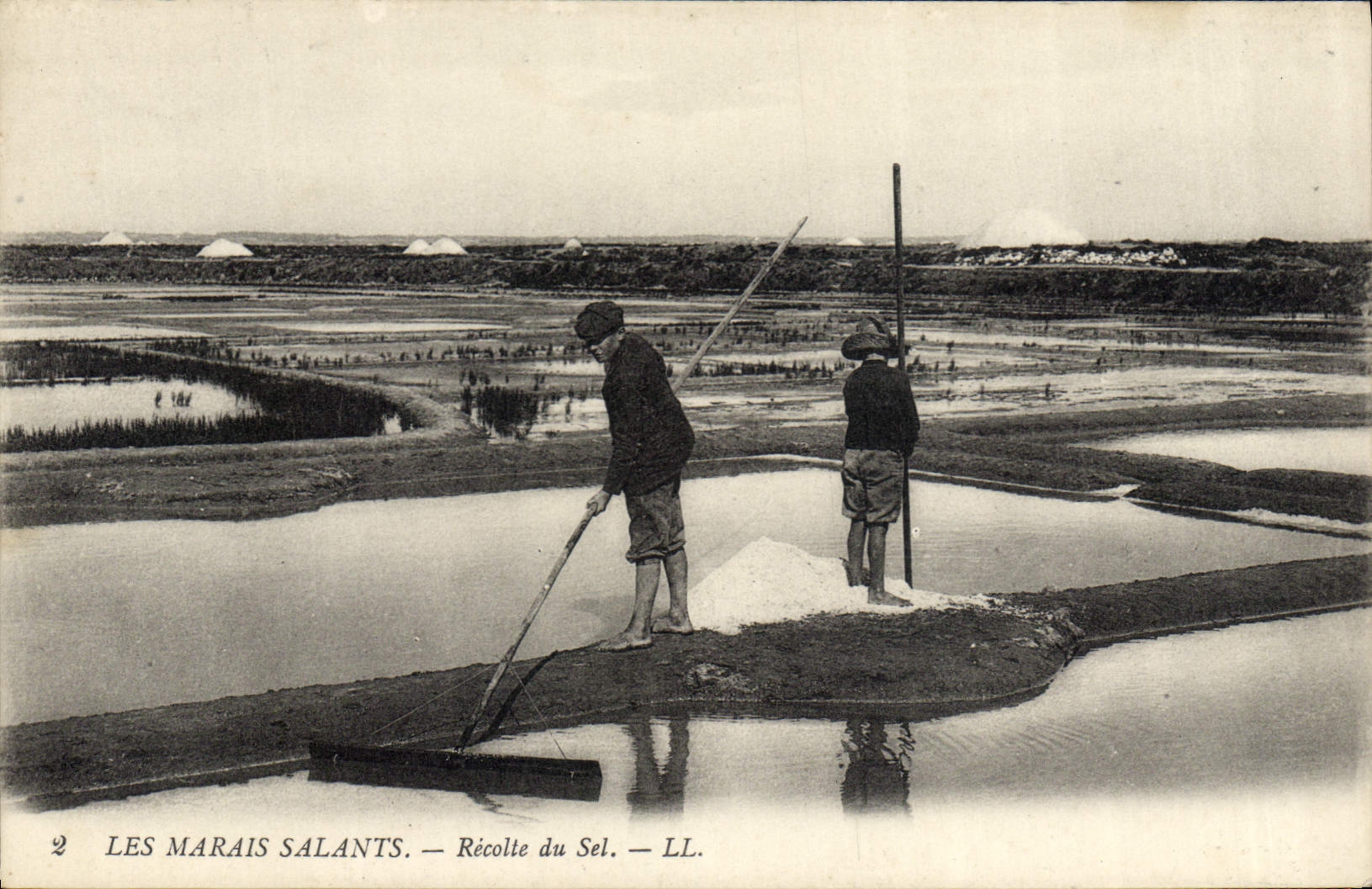 CPA Folklore Marais Salants Recolte du sel