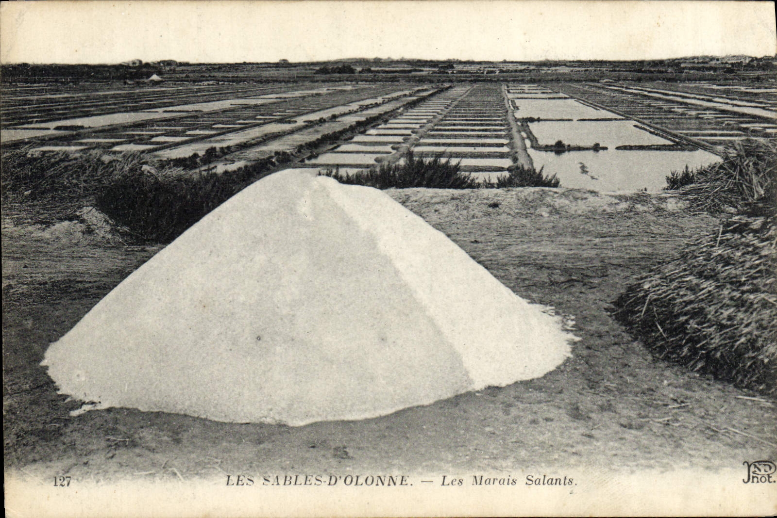 CPA Folklore Marais Salants Les Sables d'Olonne