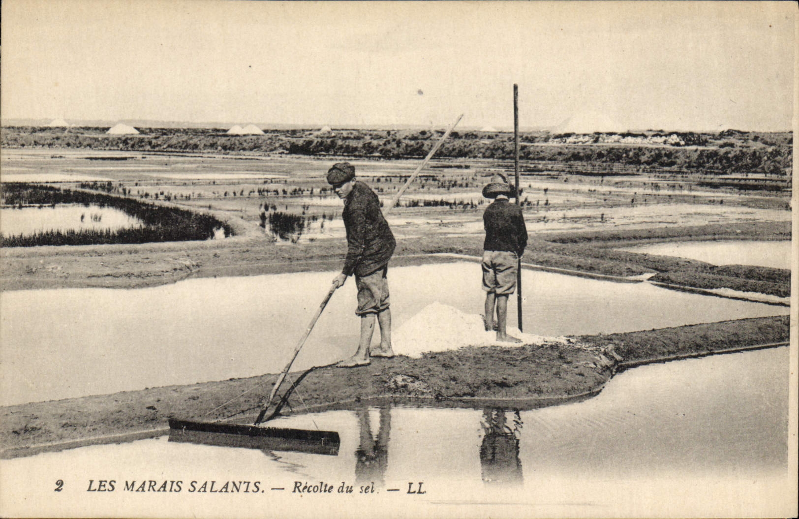 CPA Folklore Marais Salants Recolte de sel