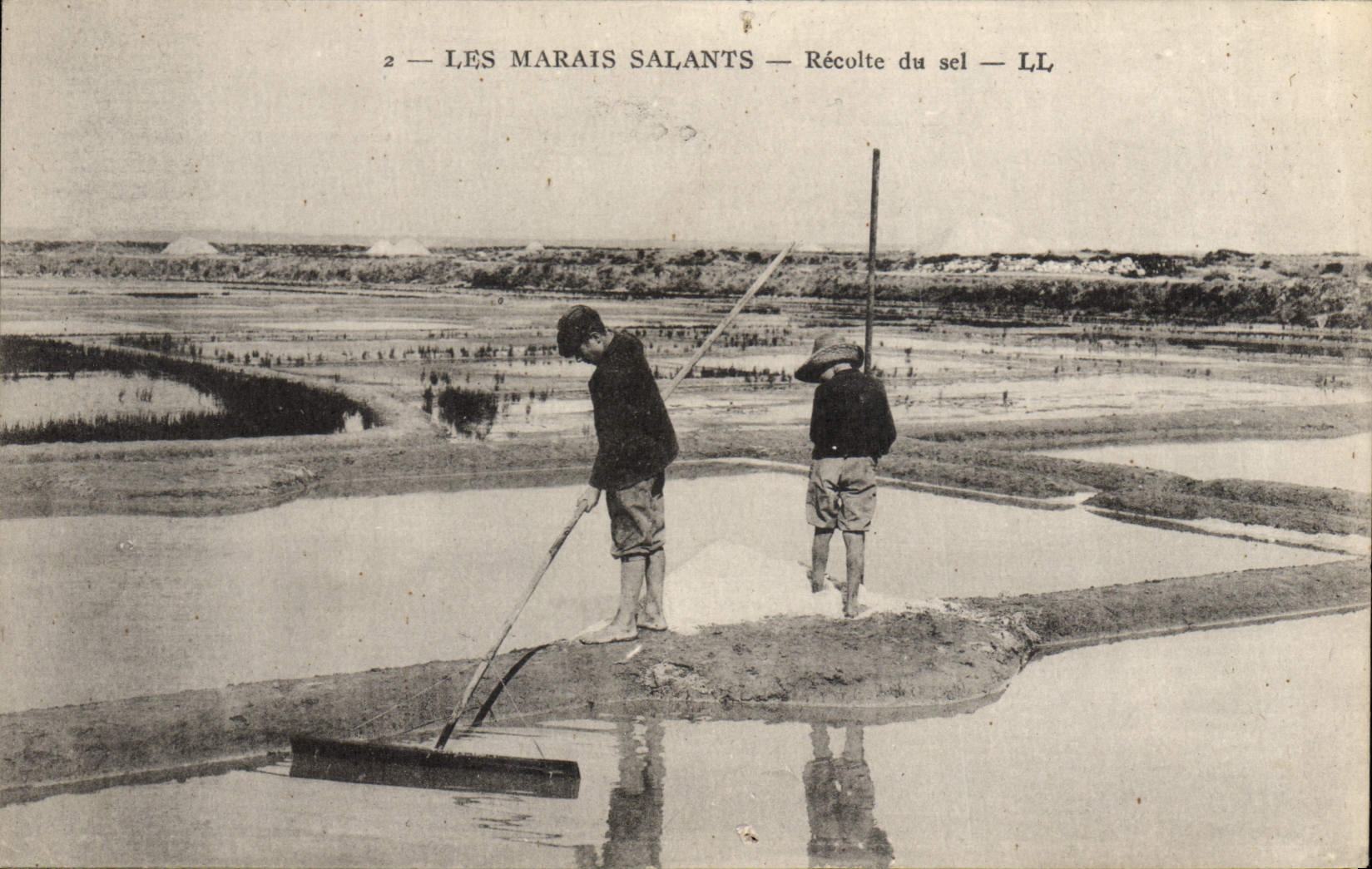 CPA Folklore Marais Salants Recolte de sel