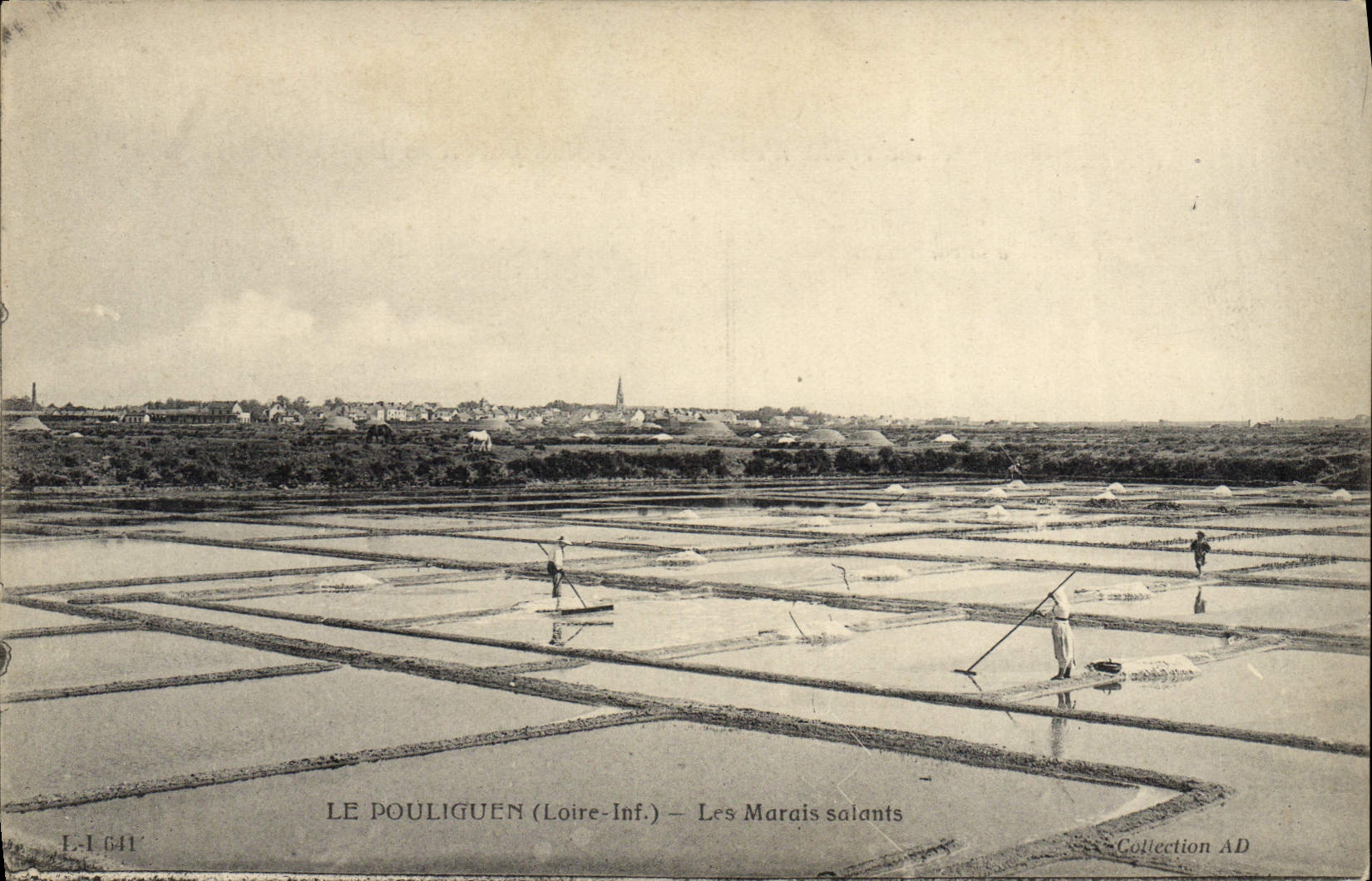 CPA Folklore Marais Salants Le Pouliguen