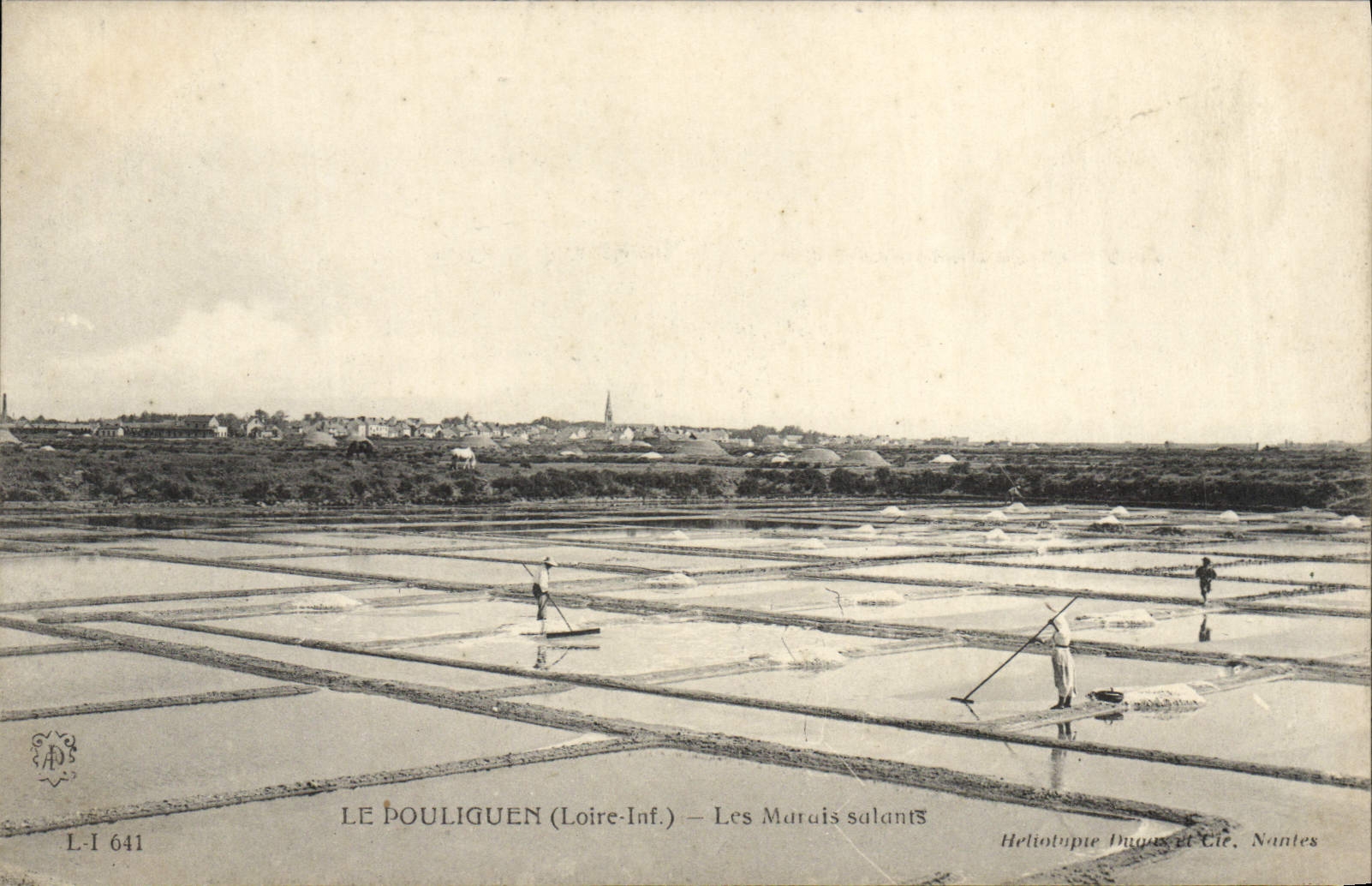 CPA Folklore Marais Salants Le Pouliguen