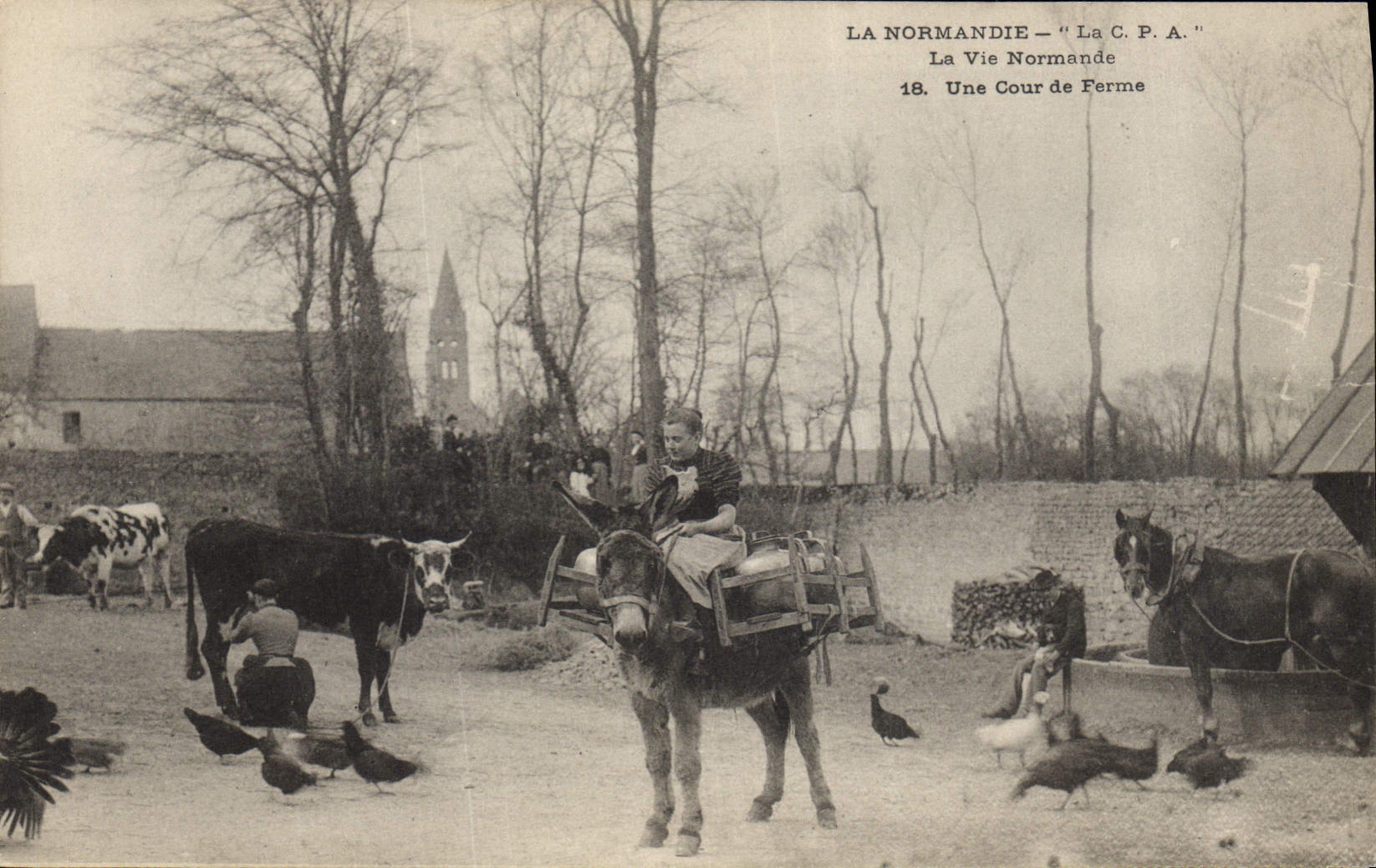 Folklore de Normandía de la POSTAL de la VENDIMIA una corte del caballo de la vaca de la mula del asno del erme