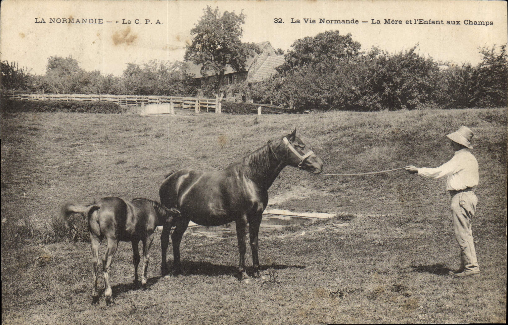 Folklore de Normandía de la POSTAL de la VENDIMIA la madre y el niño con los campos de Cheal