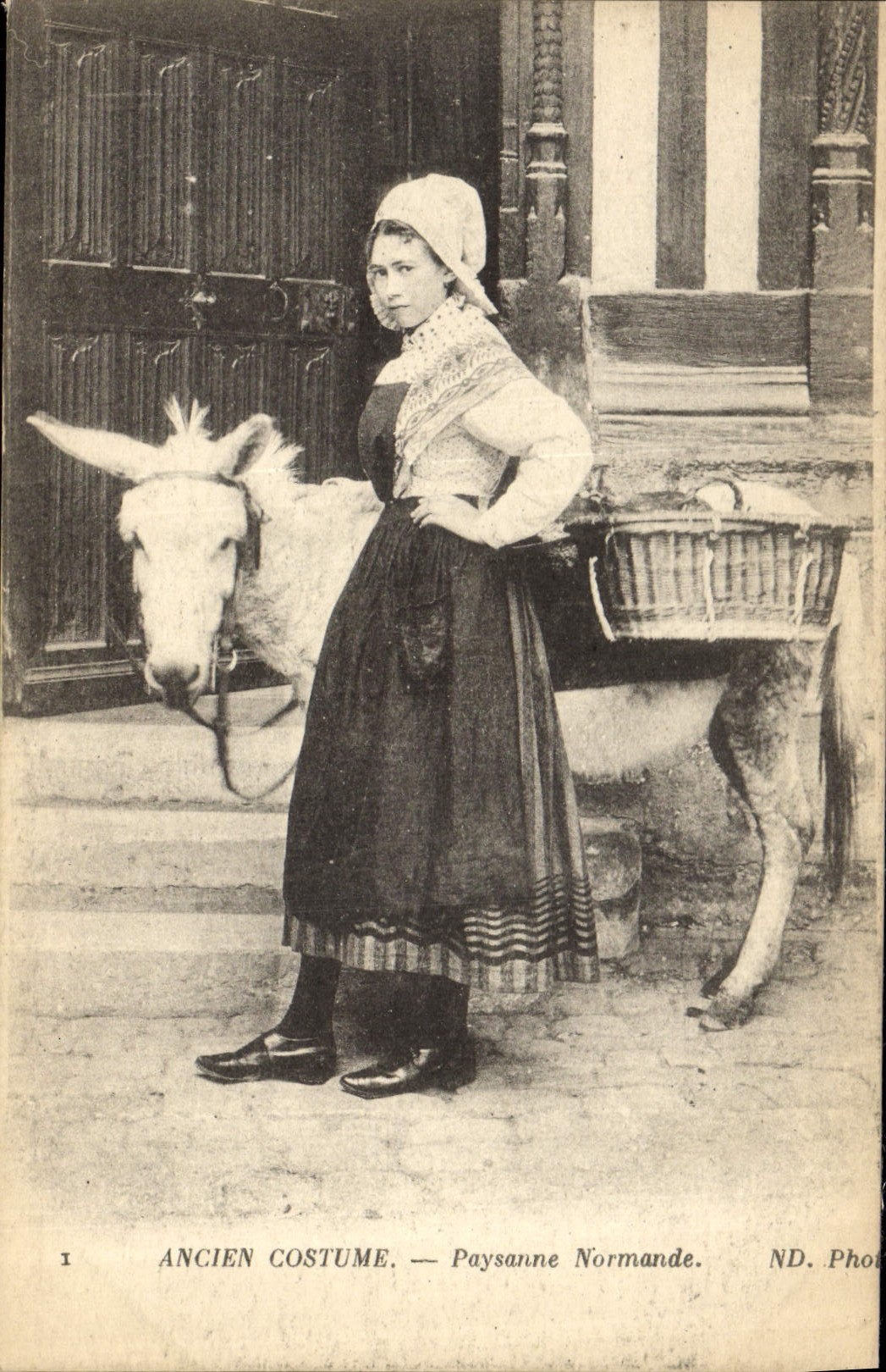 CPA Folklore Ancien costume Paysanne Normande Ane Mule