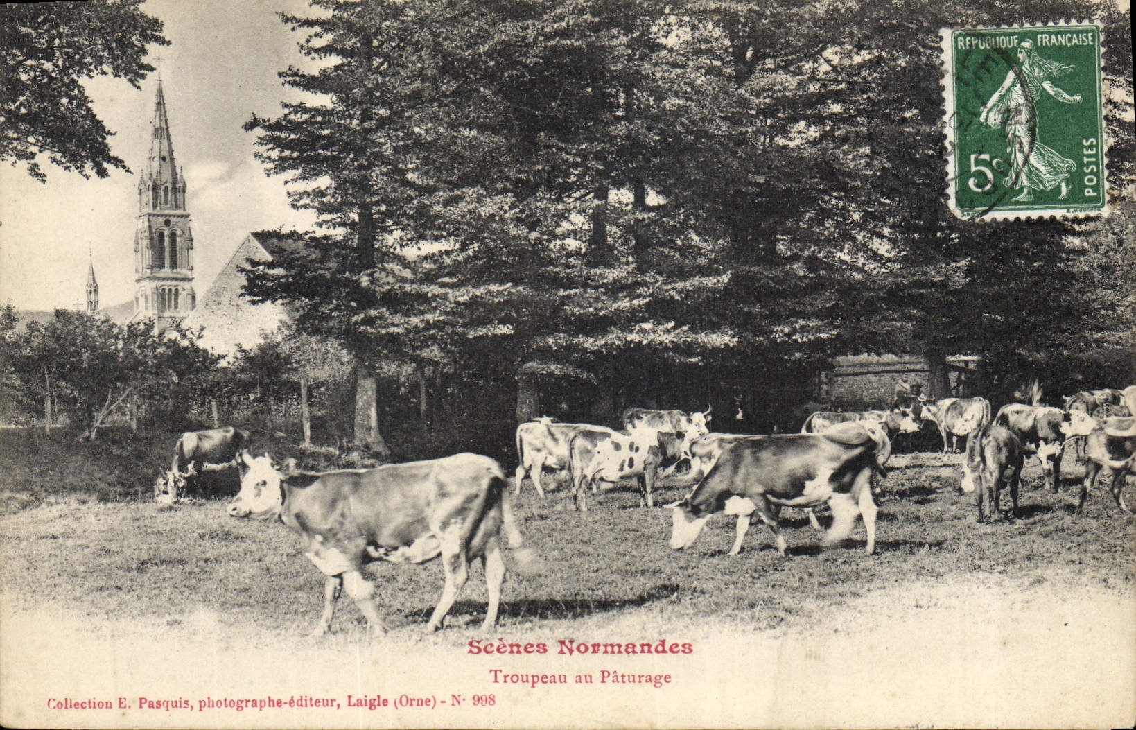Rebaño de vacas del folklore de la POSTAL de la VENDIMIA con el pasto de Normandía