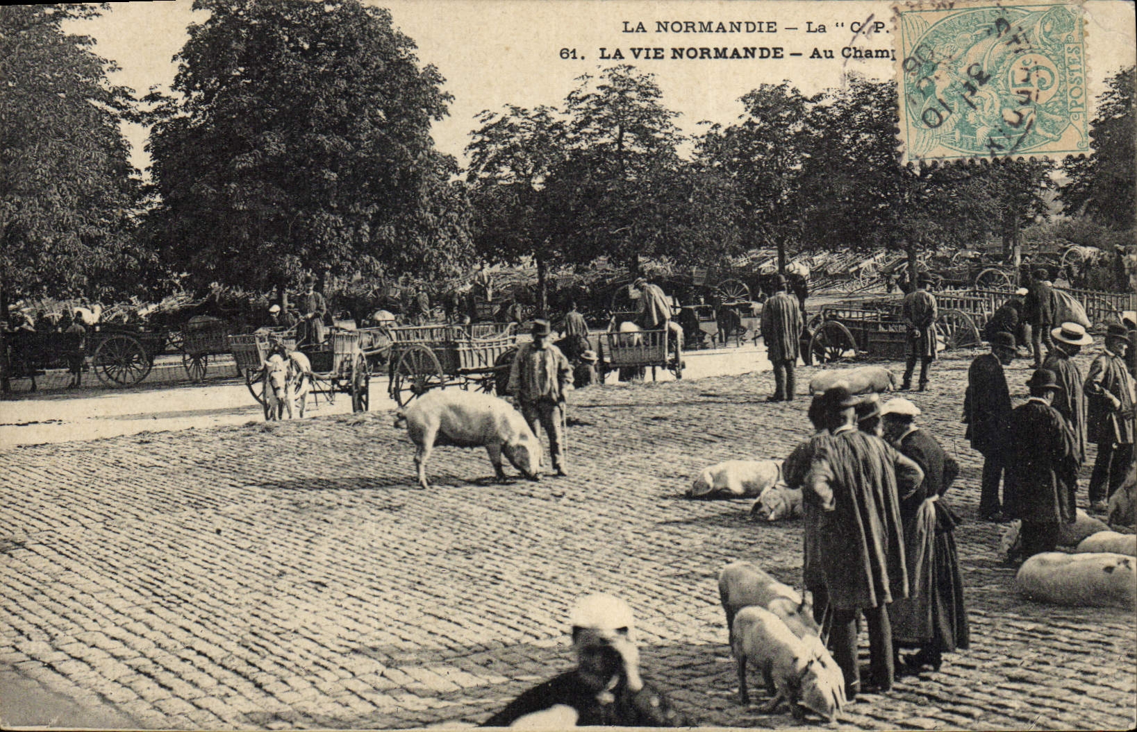 CPA Folklore Normandie Au champ de foire Cochon Porc 