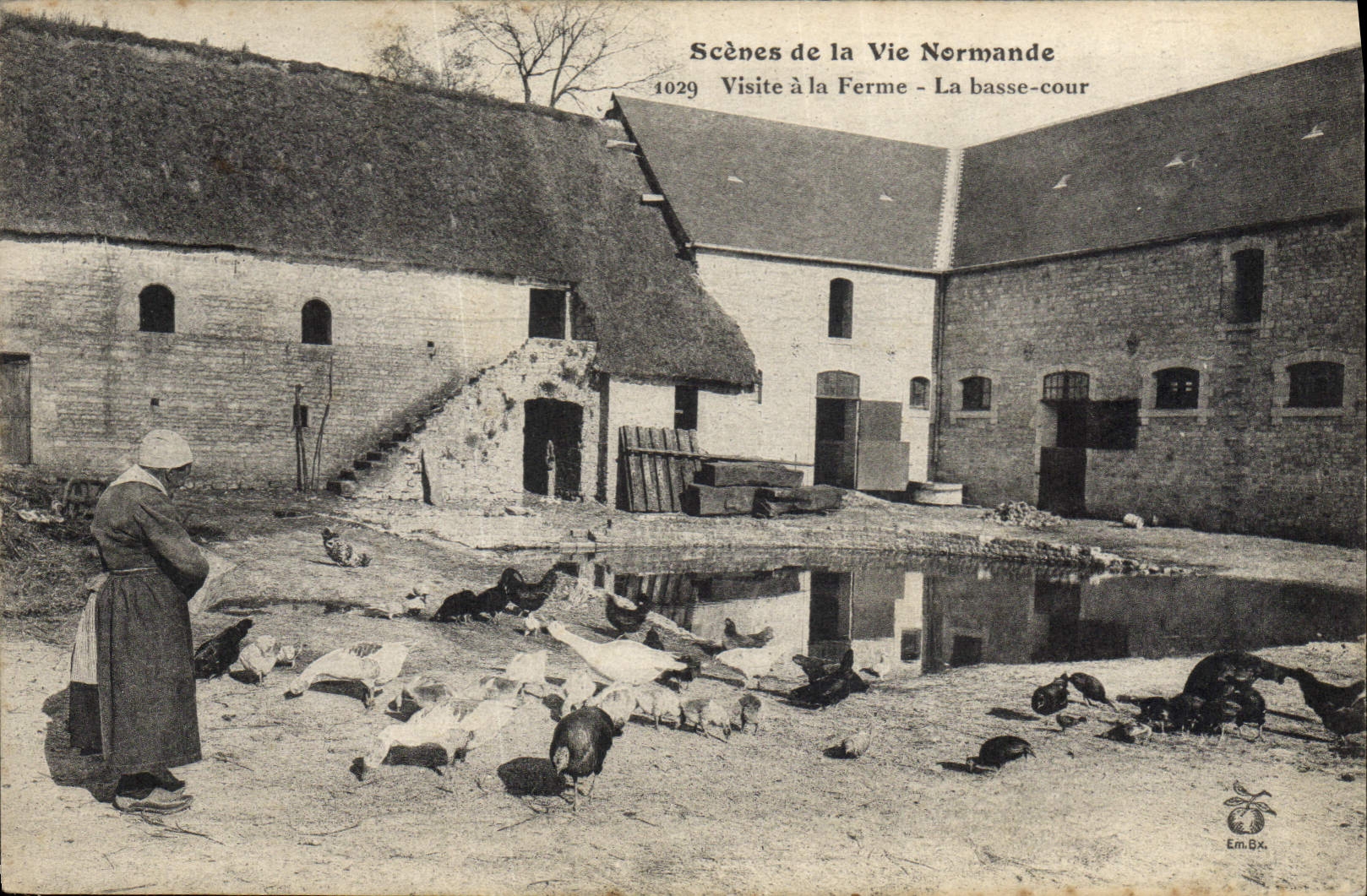 CPA Folklore Normandie Visite a la ferme La basse cour