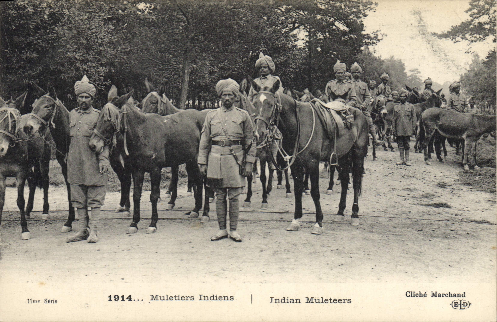 VINTAGE POSTCARD Militaria Indian Muleteers
