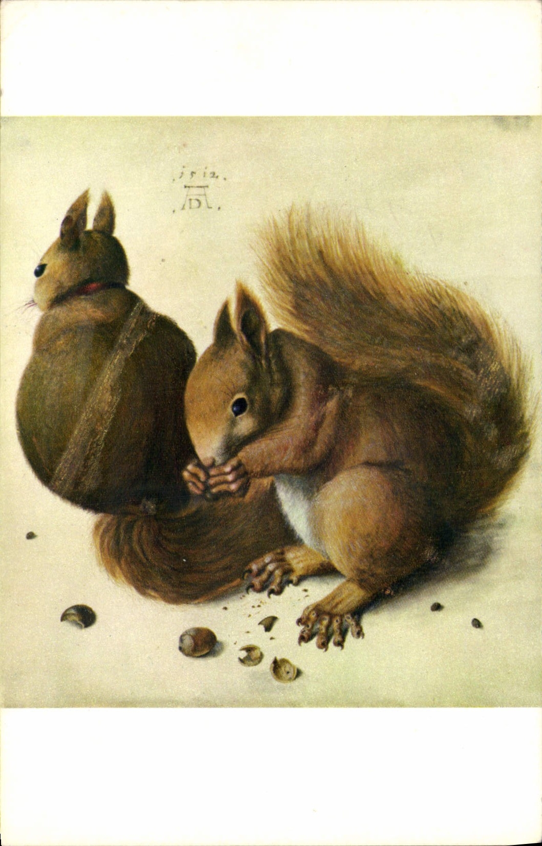 CPM Durer Les Ecureuils 