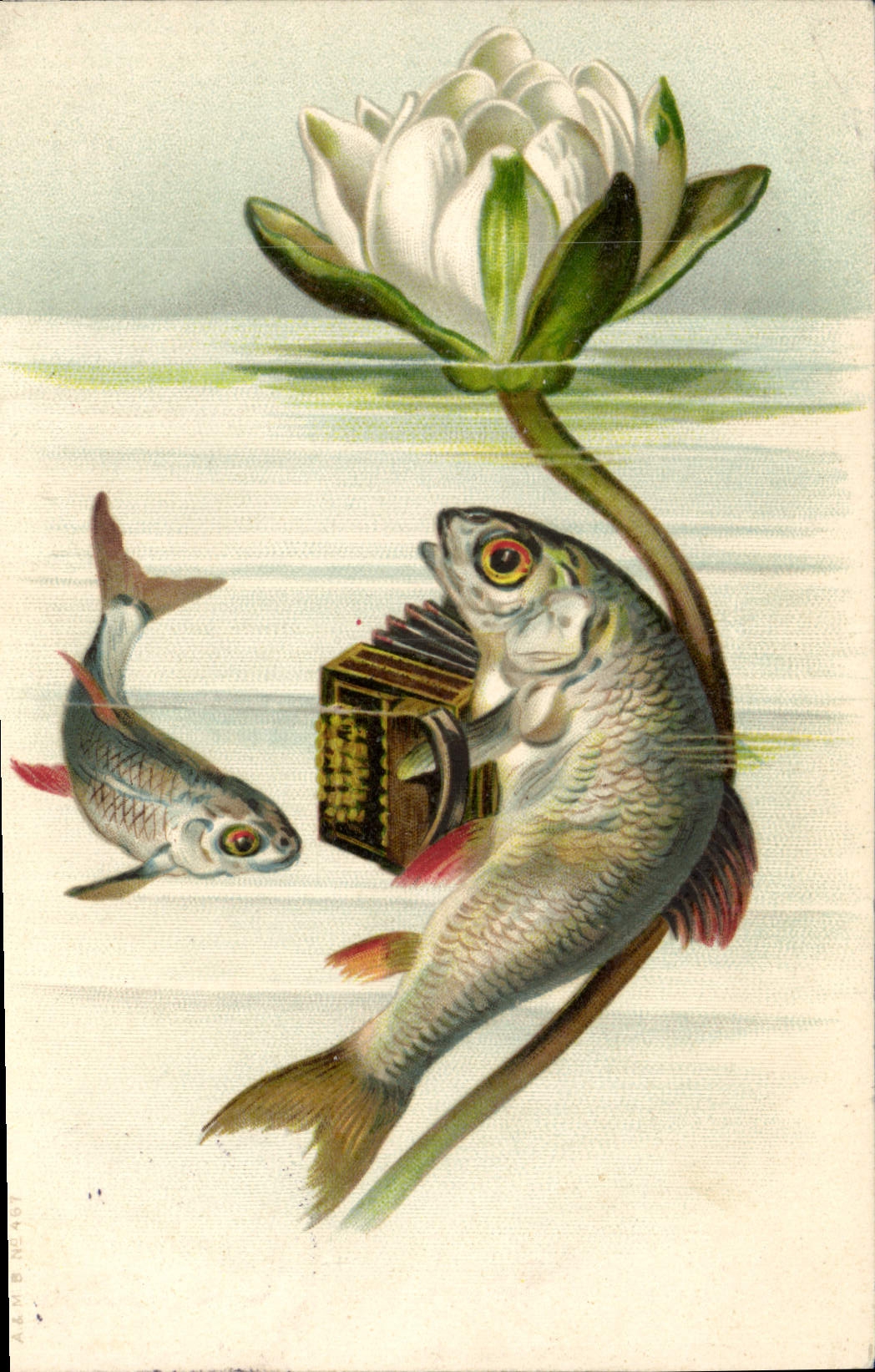 CPA Poissons Poisson Accordeon