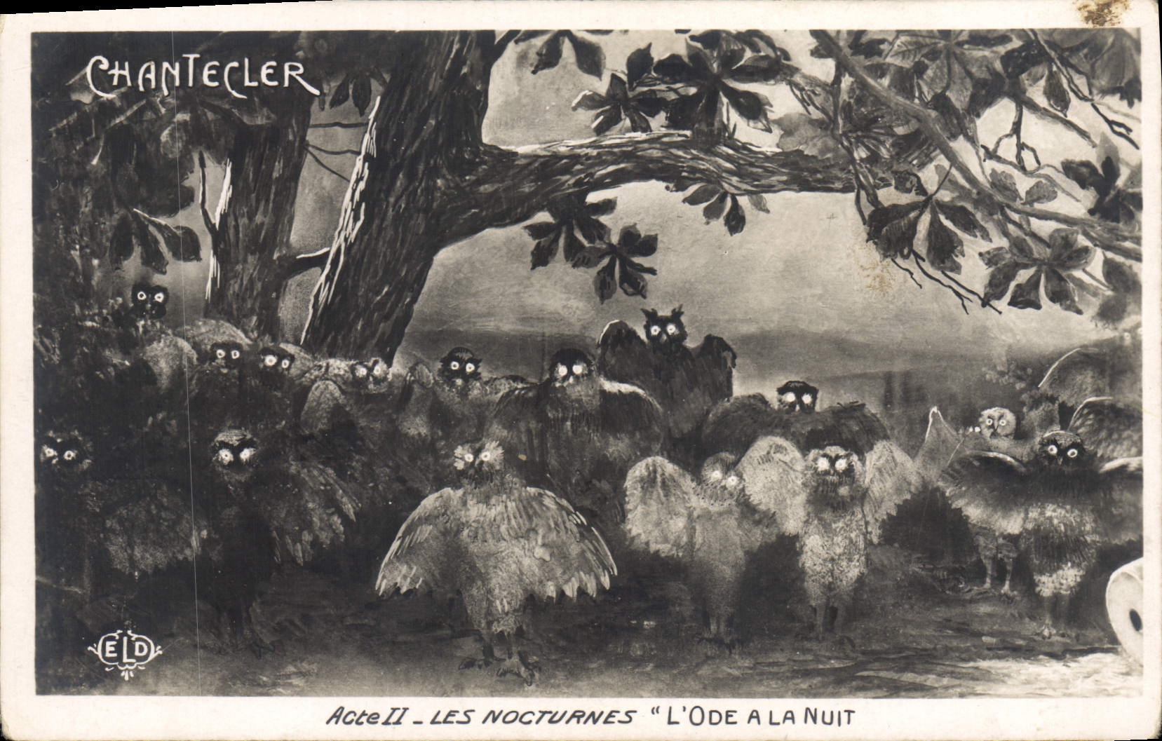 VINTAGE POSTCARD Theater Rostand Cock Chantecler night the ode at the night Owl Owl