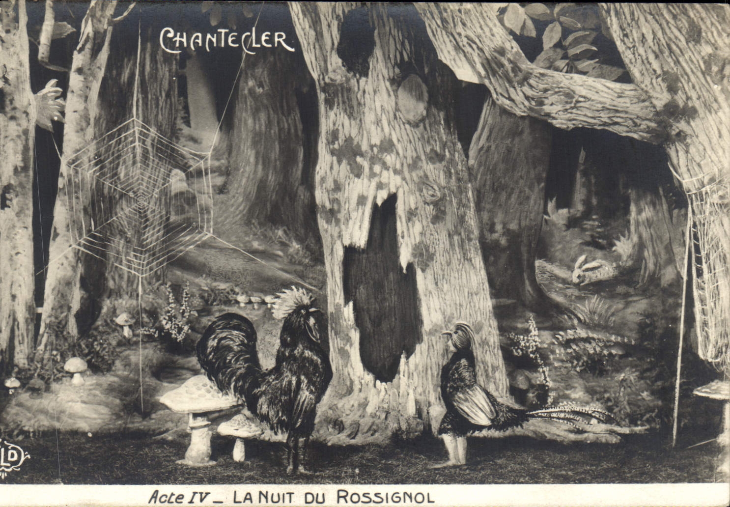 VINTAGE POSTCARD Theater Rostand Cock Chantecler the night of the nightingale mushroom
