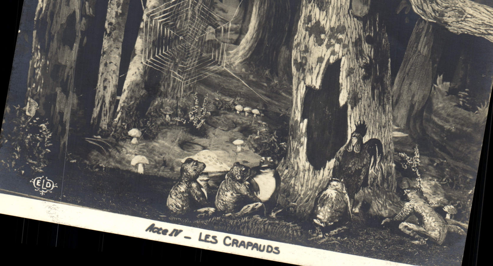 VINTAGE POSTCARD Theater Rostand Cock Chantecler clamping plates