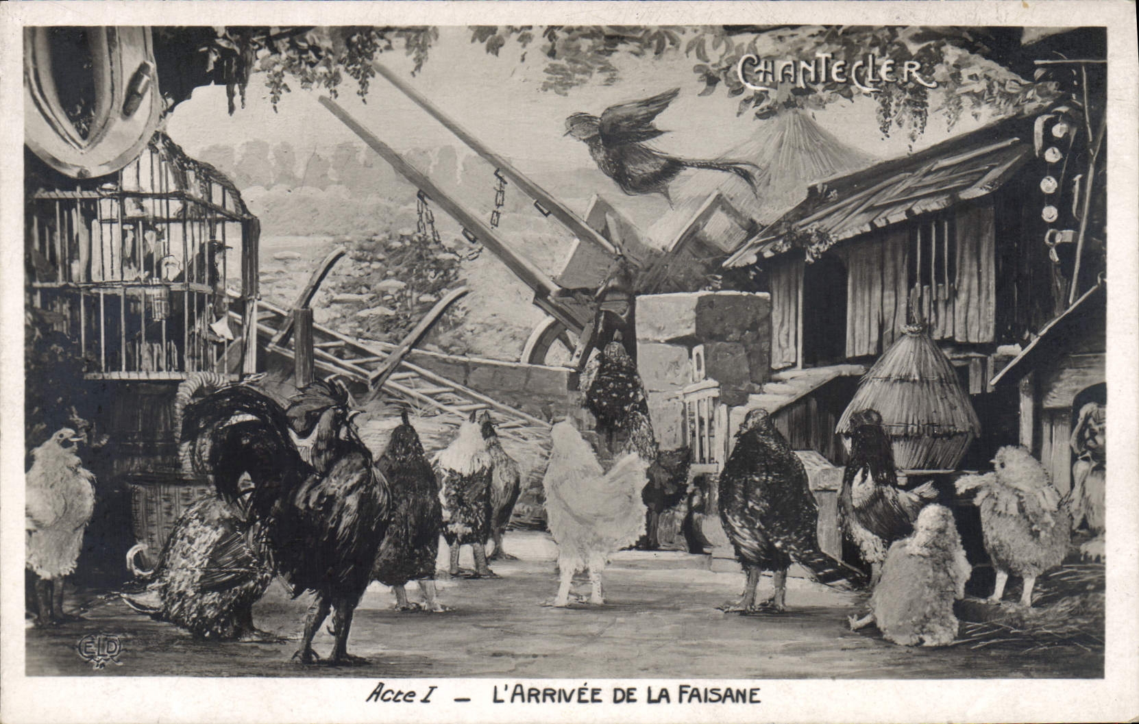 CPA Theatre Rostand Coq Chantecler L'arrivee de la faisane