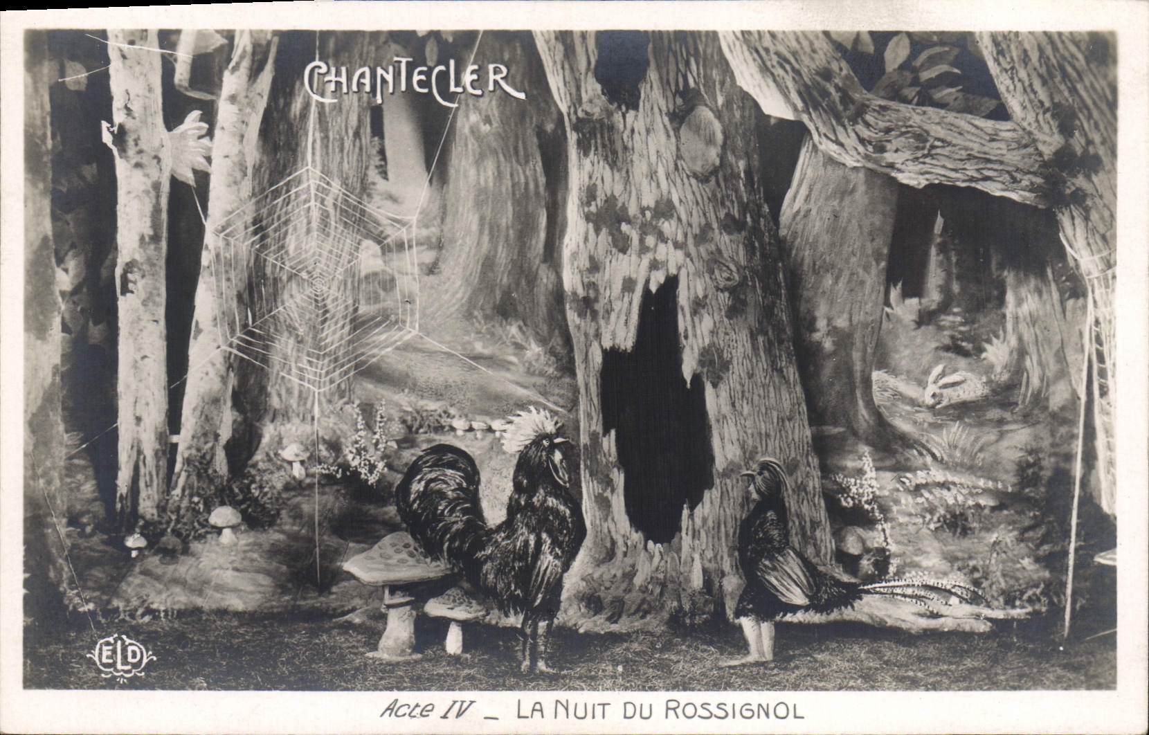 CPA Theatre Rostand Coq Chantecler La nuit du rossignol Champignon