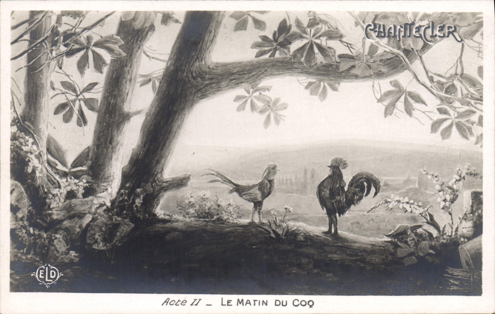 VINTAGE POSTCARD Theater Rostand Cock Chantecler the morning of the cock