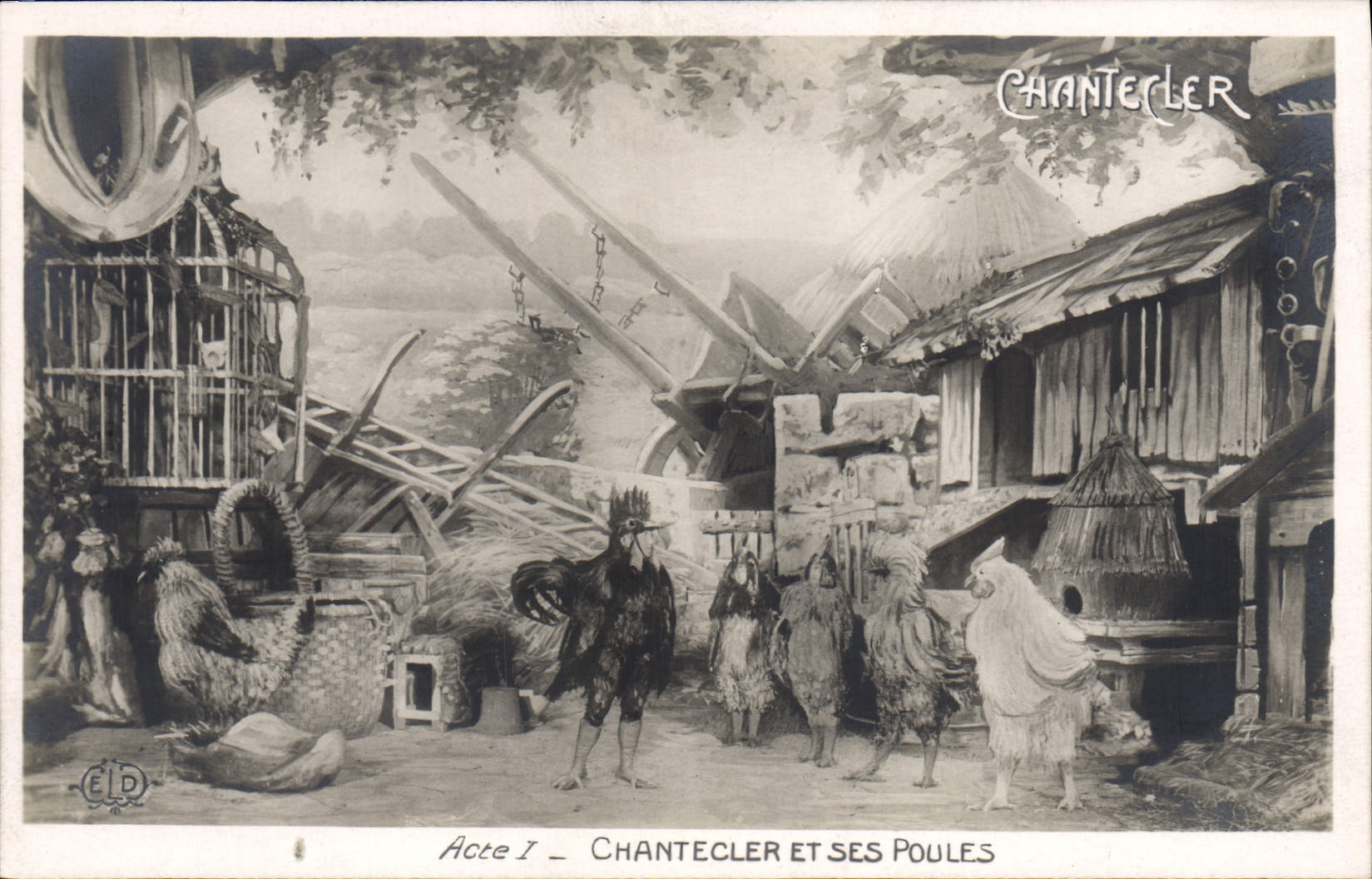 CPA Theatre Rostand Coq Chantecler et ses poules