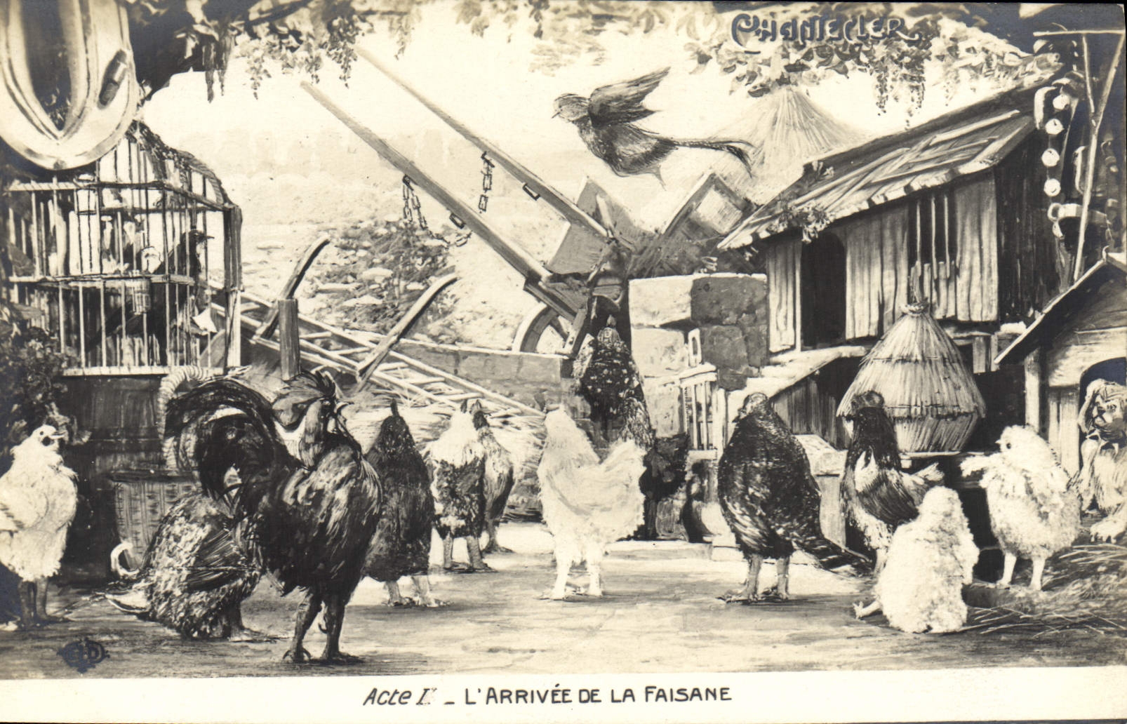 CPA Theatre Rostand Coq Chantecler L'arrivee de la faisane