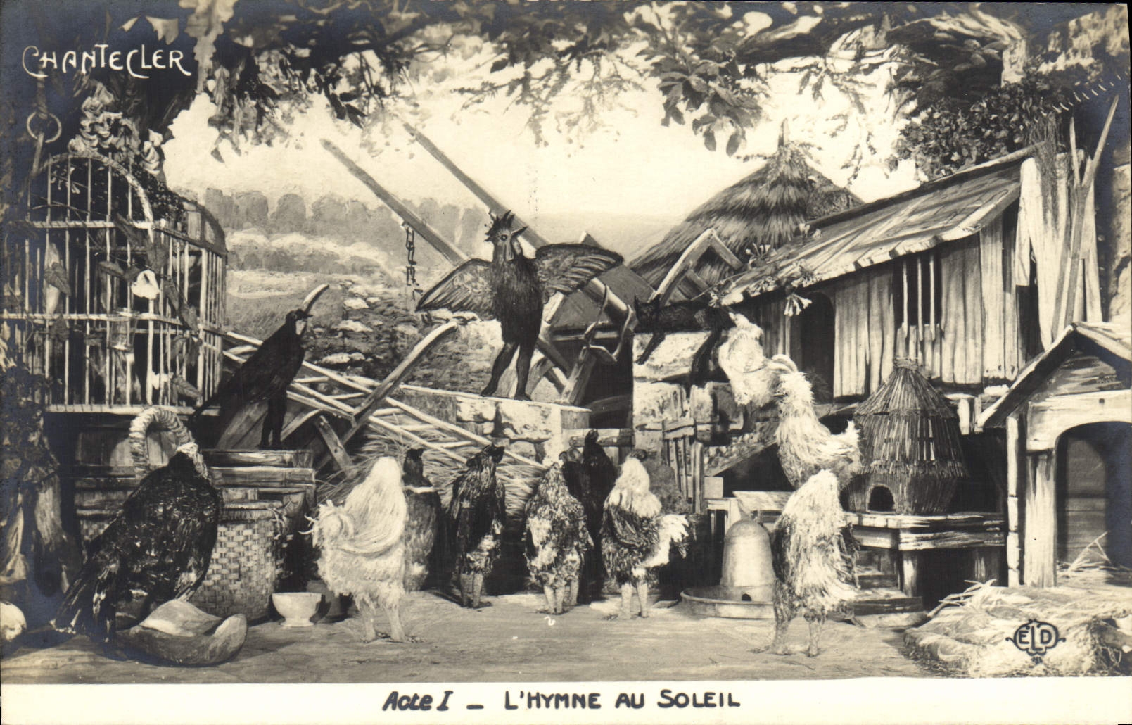 CPA Theatre Rostand Coq Chantecler L'hymne au soleil