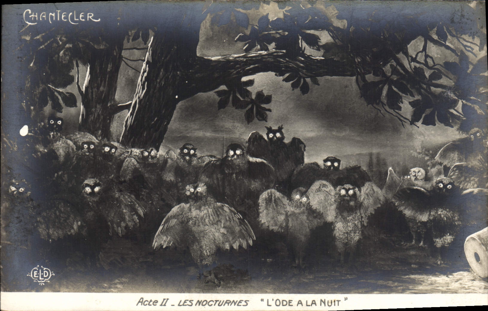 VINTAGE POSTCARD Theater Rostand Cock Chantecler night the ode at the night