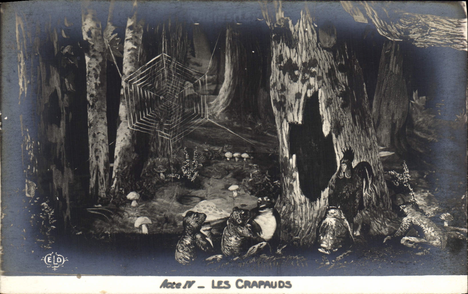 VINTAGE POSTCARD Theater Rostand Cock Chantecler the clamping plates mushroom