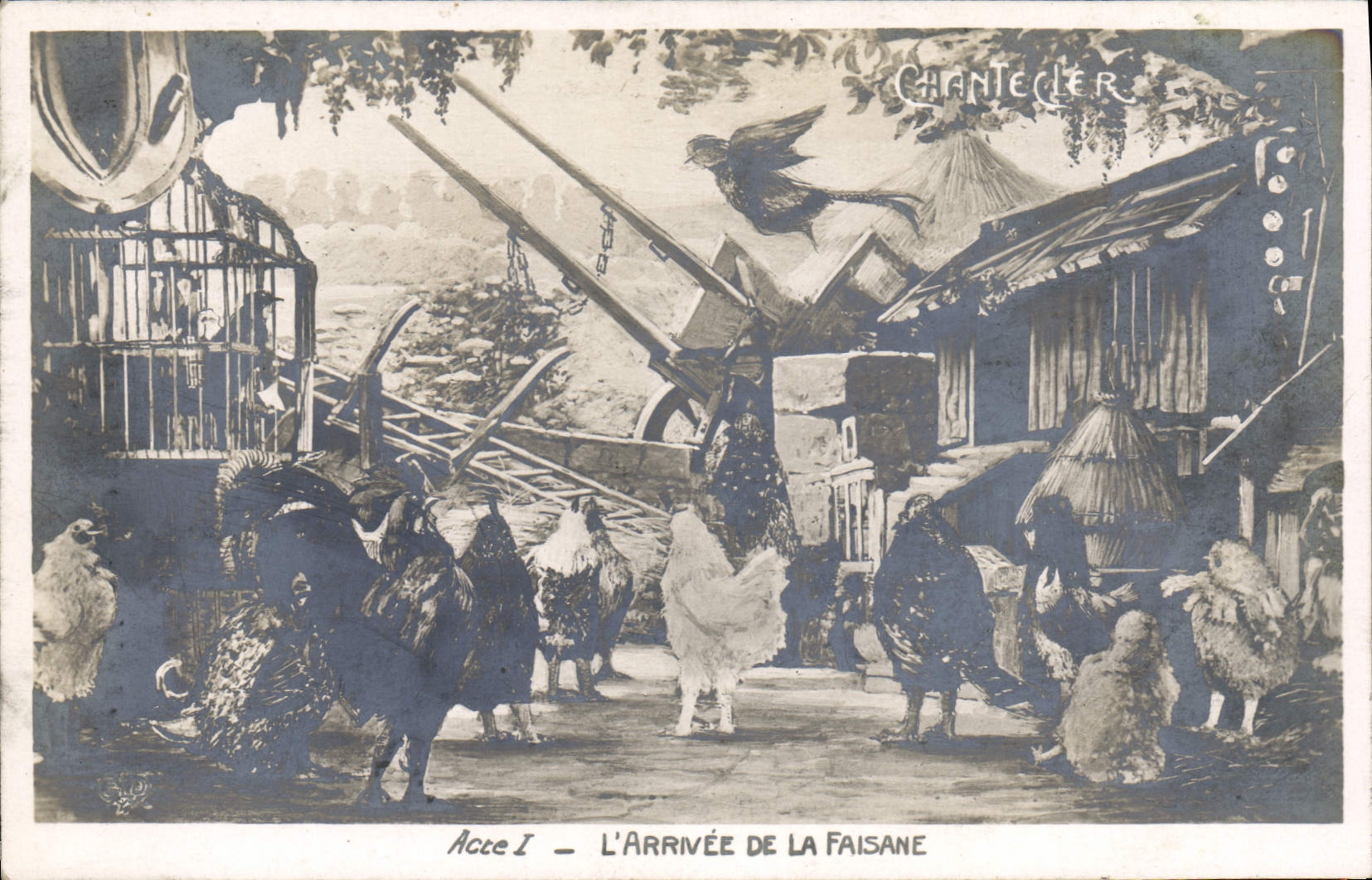 CPA Theatre Rostand Coq Chantecler L'arrivee de la faisane