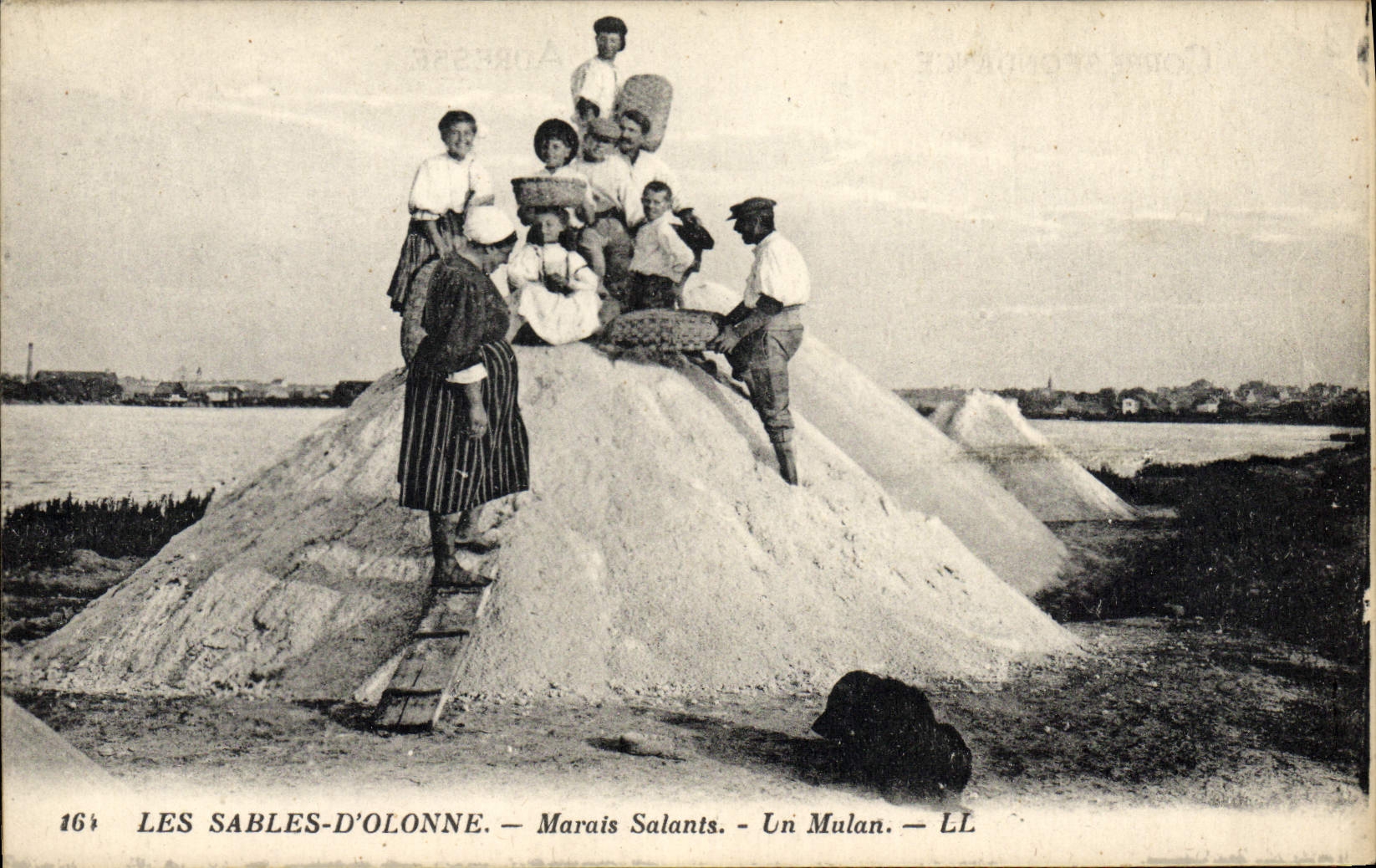 CPA Marais salants Un Mulan Les Sables d'Olonne