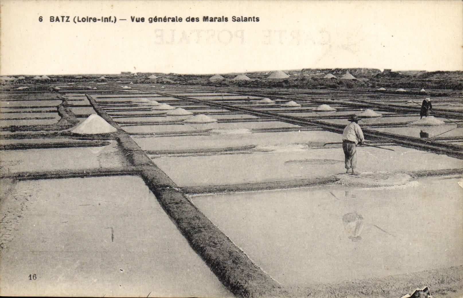 VINTAGE POSTCARD View of the salt-water Marshes Batz