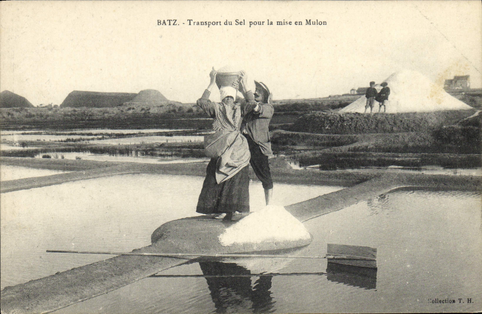 Transporte de Batz de los pantanos del agua salada de la POSTAL de la VENDIMIA de la sal para el ajuste en Mulon