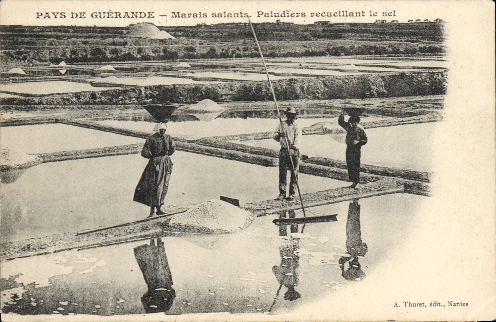 VINTAGE POSTCARD salt-water Marshes Paludiers collecting salt Country of Guerande